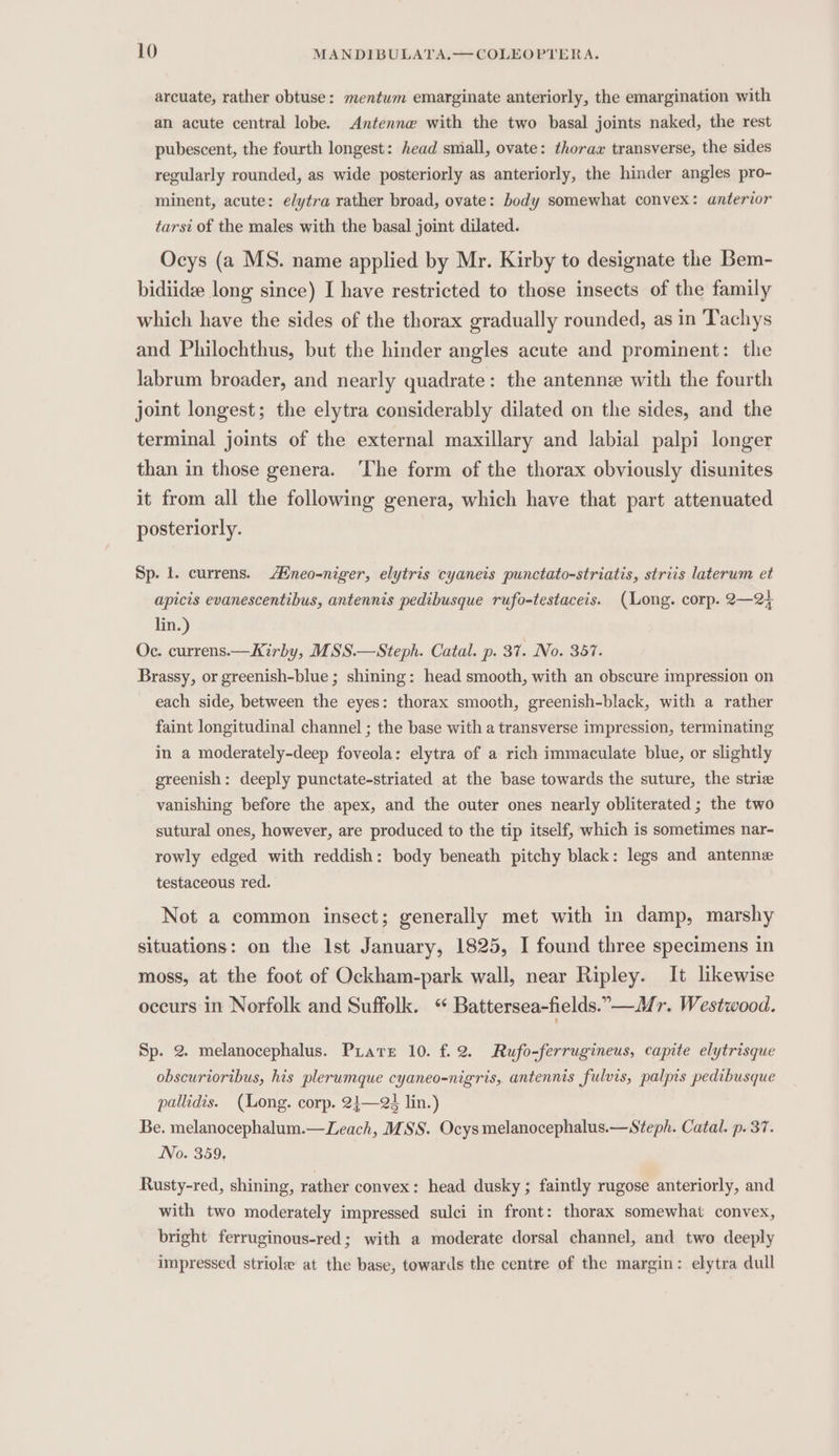 arcuate, rather obtuse: mentum emarginate anteriorly, the emargination with an acute central lobe. Antenne with the two basal joints naked, the rest pubescent, the fourth longest: head small, ovate: thorax transverse, the sides regularly rounded, as wide posteriorly as anteriorly, the hinder angles pro- minent, acute: elytra rather broad, ovate: body somewhat convex: anterior tarsi of the males with the basal joint dilated. Ocys (a MS. name applied by Mr. Kirby to designate the Bem- bidiidee long since) I have restricted to those insects of the family which have the sides of the thorax gradually rounded, as in ‘Tachys and Philochthus, but the hinder angles acute and prominent: the labrum broader, and nearly quadrate: the antenne with the fourth joint longest; the elytra considerably dilated on the sides, and the terminal joints of the external maxillary and labial palpi longer than in those genera. ‘The form of the thorax obviously disunites it from all the following genera, which have that part attenuated posteriorly. Sp. 1. currens. /Hneo-niger, elytris cyaneis punctato-striatis, striis laterum et apicis evanescentibus, antennis pedibusque rufo-testaceis. (Long. corp. 2—2} lin.) Oc. currens.—Kirby, MSS.—Steph. Catal. p. 37. No. 357. Brassy, or greenish-blue ; shining: head smooth, with an obscure impression on each side, between the eyes: thorax smooth, greenish-black, with a rather faint longitudinal channel ; the base with a transverse impression, terminating in a moderately-deep foveola: elytra of a rich immaculate blue, or slightly greenish: deeply punctate-striated at the base towards the suture, the strie vanishing before the apex, and the outer ones nearly obliterated ; the two sutural ones, however, are produced to the tip itself, which is sometimes nar- rowly edged with reddish: body beneath pitchy black: legs and antenne testaceous red. Not a common insect; generally met with in damp, marshy situations: on the Ist January, 1825, I found three specimens in moss, at the foot of Ockham-park wall, near Ripley. It likewise occurs in Norfolk and Suffolk. Battersea-fields.”—M r. Westwood. Sp. 2. melanocephalus. Prats 10. f.2. Rufo-ferrugineus, capite elytrisque obscurioribus, his plerumque cyaneo-nigris, antennis fulvis, palprs pedibusque pallidis. (Long. corp. 21—23 lin.) Be. melanocephalum.—Leach, MSS. Ocys melanocephalus.— Steph. Catal. p. 37. No. 359, Rusty-red, shining, rather convex: head dusky ; faintly rugose anteriorly, and with two moderately impressed sulci in front: thorax somewhat convex, bright ferruginous-red; with a moderate dorsal channel, and two deeply impressed striole at the base, towards the centre of the margin: elytra dull