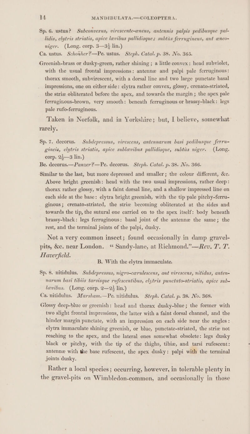 Sp. 6. ustus? Subconverus, virescente-wneus, antennis palpis pedibusque pal- lidis, elytris striatis, apice levibus pallidisque; subtis ferrugineus, aut aneo- niger. (Long. corp. 3—3+ lin.) Ca. ustus. Schonher?—Pe. ustus. Steph. Catal. p. 38. No. 365. Greenish-brass or dusky-green, rather shining ; a little convex: head subviolet, with the usual frontal impressions: antenne and palpi pale ferruginous: thorax smooth, subvirescent, with a dorsal line and two large punctate basal impressions, one on either side: elytra rather convex, glossy, crenato-striated, the stria obliterated before the apex, and towards the margin ; the apex pale ferruginous-brown, very smooth: beneath ferruginous or brassy-black: legs pale rufo-ferruginous. Taken in Norfolk, and in Yorkshire; but, I believe, somewhat rarely. Sp. 7. decorus. Subdepressus, virescens, antennarum basi pedibusque ferru- gineis, elytris striatis, apice sublevibus pallidisque, subtus niger. (Long. corp. 24—3 lin.) Be. decorus.— Panzer ?—Pe. decorus. Steph. Catal. p. 38. No. 366. ‘Similar to the last, but more depressed and smaller; the colour different, &amp;c. Above bright greenish: head with the two usual impressions, rather deep: thorax rather glossy, with a faint dorsal line, and a shallow impressed line on each side at the base: elytra bright greenish, with the tip pale pitchy-ferru- ginous ; crenato-striated, the strie becoming obliterated at the sides and towards the tip, the sutural one carried on to the apex itself: body beneath brassy-black: legs ferruginous: basal joint of the antenne the same; the rest, and the terminal joints of the palpi, dusky. Not a very common insect; found occasionally in damp gravel- pits, &amp;c. near London. “ Sandy-lane, at Richmond.”—Rev. T. T. Hlaverfield. B. With the elytra immaculate. Sp. 8. nitidulus. Subdepressus, nigro-cerulescens, aut virescens, nitidus, anten- narum basi tibiis tarsisque rufescentibus, elytris punctato-striatis, apice sub- levibus. (Long. corp. 2—23 lin.) Ca. nitidulus. Marsham.—Pe. nitidulus. Steph. Catal. p. 38. No. 368. Glossy deep-blue or greenish: head and thorax dusky-blue; the former with two slight frontal impressions, the latter with a faint dorsal channel, and the hinder margin punctate, with an impression on each side near the angles: elytra immaculate shining greenish, or blue, punctate-striated, the striee not reaching to the apex, and the lateral ones somewhat obsolete: legs dusky black or pitchy, with the tip of the thighs, tibie, and tarsi rufescent: antenne with the base rufescent, the apex dusky: palpi with the terminal joints dusky. Rather a local species ; occurring, however, in tolerable plenty in the gravel-pits on Wimbledon-common, and occasionally in those