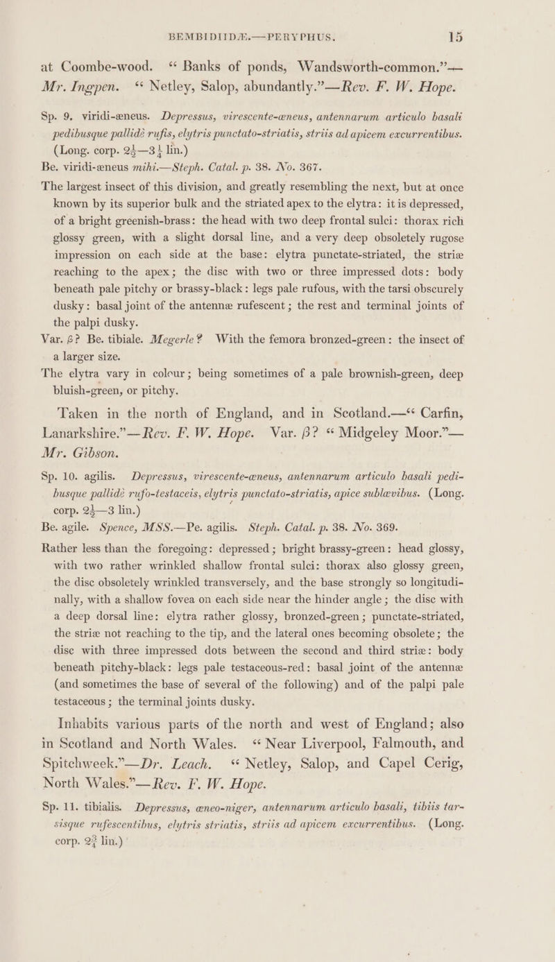 at Coombe-wood. ‘ Banks of ponds, Wandsworth-common.”—— Mr. Ingpen. ‘ Netley, Salop, abundantly.”—Rev. F. W. Hope. Sp. 9, viridi-wneus. Depressus, virescente-eneus, antennarum articulo basalt pedibusque pallidé rufis, elytris punctato-striatis, striis ad apicem excurrentibus. (Long. corp. 24—3 } lin.) Be. viridi-eneus mihi.—Steph. Catal. p. 38. No. 367. The largest insect of this division, and greatly resembling the next, but at once known by its superior bulk and the striated apex to the elytra: it is depressed, of a bright greenish-brass: the head with two deep frontal sulci: thorax rich glossy green, with a slight dorsal line, and a very deep obsoletely rugose impression on each side at the base: elytra punctate-striated, the strie reaching to the apex; the disc with two or three impressed dots: body beneath pale pitchy or brassy-black: legs pale rufous, with the tarsi obscurely dusky: basal joint of the antenne rufescent ; the rest and terminal joints of the palpi dusky. Var. 6? Be. tibiale. Megerle? With the femora bronzed-green: the insect of a larger size. The elytra vary in colour; being sometimes of a pale brownish-green, deep bluish-green, or pitchy. Taken in the north of England, and in. Scotland.—* Carfin, Lanarkshire.”—-Rev. F. W. Hope. Var. B? “ Midgeley Moor.”— Mr. Gibson. Sp. 10. agilis. Depressus, virescente-ceneus, antennarum articulo hasali pedi- busque pallide rufo-testaceis, elytris punctato-striatis, apice sublevibus. (Long. corp. 24—3 lin.) Be. agile. Spence, MSS.—Pe. agilis. Steph. Catal. p. 38. No. 369. Rather less than the foregoing: depressed ; bright brassy-green: head glossy, with two rather wrinkled shallow frontal sulci: thorax also glossy green, the disc obsoletely wrinkled transversely, and the base strongly so longitudi- nally, with a shallow fovea on each side near the hinder angle ; the disc with a deep dorsal line: elytra rather glossy, bronzed-green ; punctate-striated, the strie not reaching to the tip, and the lateral ones becoming obsolete; the disc with three impressed dots between the second and third strie: body beneath pitchy-black: legs pale testaceous-red: basal joint of the antenne (and sometimes the base of several of the following) and of the palpi pale testaceous ; the terminal joints dusky. Inhabits various parts of the north and west of England; also in Scotland and North Wales. ‘ Near Liverpool, Falmouth, and Spitchweek.”—Dr. Leach. ‘* Netley, Salop, and Capel Cerig, North Wales.”— Rev. IF’. W. Hope. Sp. 11. tibialis. Depressus, eneo-niger, antennarum articulo basali, tibiis tar- sisque rufescentibus, elytris striatis, striis ad apicem excurrentibus. (Long. corp. 2? lin.)