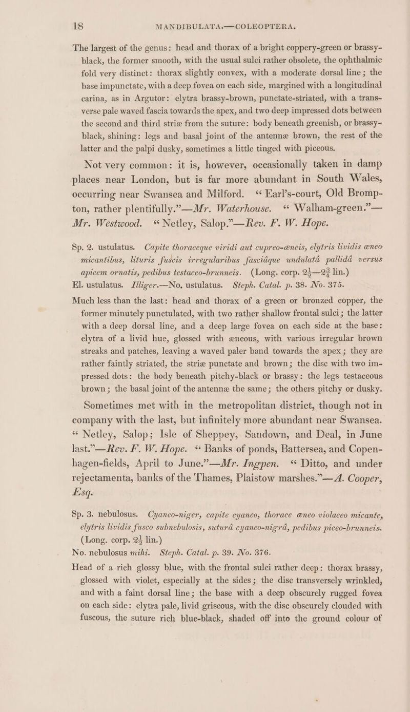 The largest of the genus: head and thorax of a bright coppery-green or brassy- black, the former smooth, with the usual sulci rather obsolete, the ophthalmic fold very distinct: thorax slightly convex, with a moderate dorsal line ; the base impunctate, with a deep fovea on each side, margined with a longitudinal carina, as in Argutor: elytra brassy-brown, punctate-striated, with a trans- verse pale waved fascia towards the apex, and two deep impressed dots between the second and third strie from the suture: body beneath greenish, or brassy- black, shining: legs and basal joint of the antenne brown, the rest of the latter and the palpi dusky, sometimes a little tinged with piceous. Not very common: it is, however, occasionally taken in damp places near London, but is far more abundant in South Wales, occurring near Swansea and Milford. “ Earl’s-court, Old Bromp- ton, rather plentifully.—Mr. Waterhouse. ‘ Walham-green.”— Mr. Westwood. “Netley, Salop..—Rev. F’. W. Hope. Sp. 2. ustulatus. Capite thoraceque viridi aut cupreo-eneis, elytris lividis eneo micantibus, lituris fuscis irregularibus fascidque wndulatd pallida versus apicem ornatis, pedibus testaceo-brunneis. (Long. corp. 24—2? lin.) El. ustulatus. Jlliger.—No, ustulatus. Steph. Catal. p. 38. No. 375. Much less than the last: head and thorax of a green or bronzed copper, the former minutely punctulated, with two rather shallow frontal sulci; the latter with a deep dorsal line, and a deep large fovea on each side at the base: elytra of a livid hue, glossed with eneous, with various irregular brown streaks and patches, leaving a waved paler band towards the apex; they are rather faintly striated, the striae punctate and brown; the disc with two im- pressed dots: the body beneath pitchy-black or brassy: the legs testaceous. brown; the basal joint of the antenne the same; the others pitchy or dusky. Sometimes met with in the metropolitan district, though not in company with the last, but infinitely more abundant near Swansea. “ Netley, Salop; Isle of Sheppey, Sandown, and Deal, in June last.— Rev. F'. W. Hope. * Banks of ponds, Battersea, and Copen- hagen-fields, April to June.”—Mr. Ingpen. “ Ditto, and under rejectamenta, banks of the ‘Thames, Plaistow marshes.”—A. Cooper, sq. , Sp. 3. nebulosus. Cyanco-niger, capite cyaneo, thorace &amp;neo violaceo micante, elytris lividis fusco subnebulosis, suturd cyaneo-nigrd, pedibus piceo-brunneis. (Long. corp. 24 lin.) No. nebulosus mihi. Steph. Catal. p. 39. No. 376. Head of a rich glossy blue, with the frontal sulci rather deep: thorax brassy, glossed with violet, especially at the sides; the disc transversely wrinkled, and with a faint dorsal line; the base with a deep obscurely rugged fovea on each side: elytra pale, livid griseous, with the disc obscurely clouded with fuscous, the suture rich blue-black, shaded off into the ground colour of