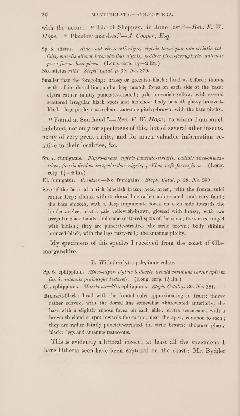 with the ocean. ‘‘‘ Isle of Sheppey, in June last.—Rev, F. W. Hope. “ Plaistow marshes.”—A. Cooper, Esq. Sp. 6. stictus. Aineo aut virescenti-niger, elytris tenue punctato-striatis pal- lidis, maculis aliquot irregularibus nigris, pedibus piceo-ferrugineis, antennis piceo-fuscis, basi piceo.. (Long. corp. 1?—@ lin.) No. stictus mzhi. Steph. Catal. p. 39. No. 379. Smaller than the foregoing: brassy or greenish-black ; head as before; thorax - with a faint dorsal line, and a deep smooth fovea on each side at the base: elytra rather faintly punctate-striated ; pale brownish-yellow, with several scattered irregular black spots and blotches: body beneath glossy bronzed- ~ Dlack: legs pitchy rust-colour ; antenne pitchy-brown, with the base pitchy. ‘¢ Found at Southend.”— Rev. F. W. Hope; to whom I am much indebted, not only for specimens of this, but of several other insects, many of very great rarity, and for much valuable information re- lative to their localities, &amp;e. Sp. 7. fumigatus. Nigro-eneus, elytris punctato-striatis, pailidis aneo-mican- tibus, fasciis duabus irregularibus nigris, pedibus rufo-ferrugineis. (Long. corp. 17—2 lin.) El. fumigatus. Creutzer.—No. fumigatus. Steph. Catal. p. 39. No. 380. Size of the last: of a rich blackish-brass: head green, with the frontal sulci rather deep: thorax with its dorsal line rather abbreviated, and very faint ; the base smooth, with a deep impunctate fovea on each side towards the hinder angles: elytra pale yellowish-brown, glossed with brassy, with two irregular black bands, and some scattered: spots of the same, the suture tinged with bluish; they are punctate-striated, the strie brown: body shining bronzed-black, with the legs rusty-red ; the antenne pitchy. My specimens of this species I received from the coast of Gla- morganshire. _ B. With the elytra pale, immaculate. Sp. 8. ephippium. Aineo-niger, elytris testacets, nebula commune versus apicem fuscd, antennis pedibusque testaceis. (Long. corp. 14 lin.) Ca. ephippium. Marsham.—No. ephippium. Steph. Catal. p. 39. No. 381. Bronzed-black: head with the frontal sulci approximating in front: thorax rather convex, with the dorsal line somewhat abbreviated anteriorly, the base with a slightly rugose fovea on each side: elytra testaceous, with a brownish cloud or spot towards the suture, near the apex, common to each ; they are rather faintly punctate-striated, the strie brown: abdomen glossy black: legs and antenne testaceous. This is evidently a littoral insect; at least all the specimens I have hitherto seen have been captured on the coast: Mr. Bydder