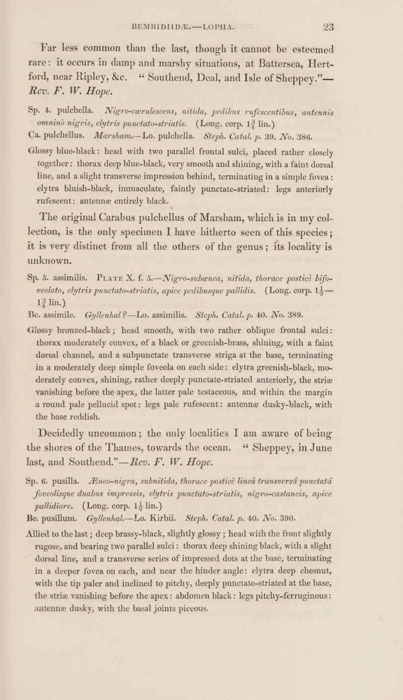 Far less common than the last, though it cannot be esteemed rare: it occurs in damp and marshy situations, at Battersea, Hert- ford, near Ripley, &amp;e. “ Southend, Deal, and Isle of Sheppey.”— Rev. F. W. Hope. Sp. 4. pulchella. Nigro-cerulescens, nitida, pedibus rufescentibus, antennis omnino nigris, elytris punctato-striatis. (Long. corp. 13 lin.) Ca. pulchellus. Marsham.—Lo. pulchella. Steph. Catal. p. 39. No. 386. Glossy blue-black: head with two parallel frontal sulci, placed rather closely together: thorax deep blue-black, very smooth and shining, with a faint dorsal line, and a slight transverse impression behind, terminating in a simple fovea: elytra bluish-black, immaculate, faintly punctate-striated: legs anteriorly rufescent: antenne entirely black. The original Carabus pulchellus of Marsham, which is in my col- lection, is the only specimen I have hitherto seen of this species ; it is very distinct from all the others of the genus; its locality is unknown. Sp. 5. assimilis. Prater X. f. 5—Nigro-subenca, nitida, thorace posticé bifo- veolato, elytris punctato-striatis, apice pedibusque pallidis. (Long. corp. 14— 13 lin.) Be. assimile. Gyllenhal ?—Lo. assimilis. Steph. Catal. p. 40. No. 389. Glossy bronzed-black ; head smooth, with two rather oblique frontal sulci: thorax moderately convex, of a black or greenish-brass, shining, with a faint dorsal channel, and a subpunctate transverse striga at the base, terminating in a moderately deep simple foveola on each side: elytra greenish-black, mo- derately convex, shining, rather deeply punctate-striated anteriorly, the strie vanishing before the apex, the latter pale testaceous, and within the margin around pale pellucid spot: legs pale rufescent: antenne dusky-black, with the base reddish. Decidedly uncommon; the only localities I'am aware of being the shores of the Thames, towards the ocean. “ Sheppey, in June last, and Southend.”— Rev. F’. W. Hope. Sp. 6. pusilla. Hneo-nigra, subnitida, thorace posticé linea transversi punctata foveolisque duabus impressis, elytris punctato-striatis, nigro-castaneis, apice pallidiore. (Long. corp. 14 lin.) Be. pusillum. Gyllenhal.—Lo. Kirbii. Steph. Catal. p. 40. No. 390. Allied to the last ; deep brassy-black, slightly glossy ; head with the front slightly rugose, and bearing two parallel sulci: thorax deep shining black, with a slight dorsal line, and a transverse series of impressed dots at the base, terminating in a deeper fovea on each, and near the hinder angle: elytra deep chesnut, with the tip paler and inclined to pitchy, deeply punctate-striated at the base, the strie vanishing before the apex: abdomen black: legs pitchy-ferruginous : antenne dusky, with the basal joints piceous.