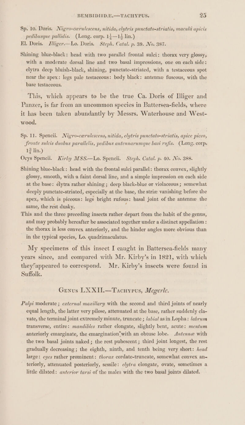 Sp. 10. Doris. Nigro-cwrulescens, nitida, elytris punctato-striatis, macula apicis pedibusque pallidis. (Long. corp. 14—14 lin.) El. Doris. Illiger—tLo. Doris. Steph. Catal. p. 39. No. 387. Shining blue-black: head with two parallel frontal sulci: thorax very glossy, with a moderate dorsal line and two basal impressions, one on each side: elytra deep bluish-black, shining, punctate-striated, with a testaceous spot near the apex: legs pale testaceous: body black: antenne fuscous, with the base testaceous. This, which appears to be the true Ca. Doris of Illiger and Panzer, is far from an uncommon species in Battersea-fields, where it has been taken abundantly by Messrs. Waterhouse and West- wood. Sp. 11. Spencii. Migvo-cerulescens, nitida, elytris punctato-striatis, apice piceo, Sronte sulcis duobus parallelis, pedibus antennarumque basi rufis. (Long. corp. 3 . 13 lin.) Ocys Spencii. Kirby MSS.—Lo. Spencii. Steph. Catal. p. 40. No. 388. Shining blue-black: head with the frontal sulci parallel: thorax convex, slightly glossy, smooth, witha faint dorsal line, and a simple impression on each side at the base: élytra rather shining ; deep black-blue or violaceous ; somewhat deeply punctate-striated, especially at the base, the strie vanishing before the apex, which is piceous: legs bright rufous: basal joint of the antenne the same, the rest dusky. ( . This and the three preceding insects rather depart from the habit of the genus, and may probably hereafter be associated together under a distinct appellation : the thorax is less convex anteriorly, and the hinder angles more obvious than in the typical species, Lo. quadrimaculatus. My specimens of this insect I caught in Battersea-fields many years since, and compared with Mr. Kirby’s in 1821, with which they*appeared to correspond. Mr. Kirby’s insects were found in Suffolk. Genus LX XII.—Tacnypvus, Megerle. Palpi moderate ; external maxillary with the second and third joints of nearly equal length, the latter very pilose, attenuated at the base, rather suddenly cla- vate, the terminal joint extremely minute, truncate ; /abial asin Lopha: labrum transverse, entire: mandibles rather elongate, slightly bent, acute: mentum anteriorly emarginate, the emarginationwith an obtuse lobe. Antenne with the two basal joints naked ; the rest pubescent ; third joint longest, the rest gradually decreasing ; the eighth, ninth, and tenth being very short: head large: eyes rather prominent: thorax cordate-truncate, somewhat convex an- teriorly, attenuated posteriorly, sessile: elytra elongate, ovate, sometimes a little dilated: anterior tarsi of the males with the two basal joints dilated.