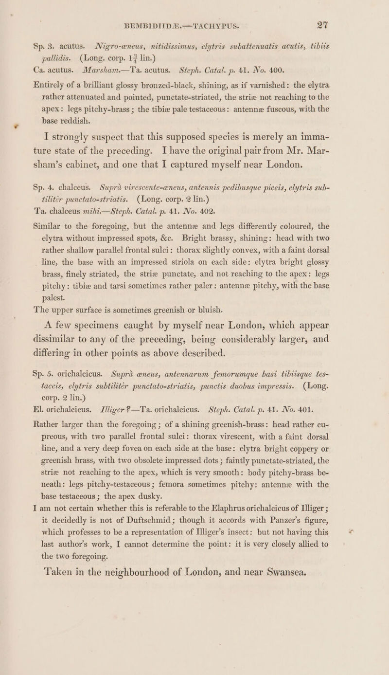 Sp. 3. acutus. Migro-ewneus, nitidissimus, elytris subattenuatis acutis, tibiis pallidis. (ong. corp. 1 lin.) Ca. acutus. Marsham.—Ta. acutus. Steph. Catal. p. 41. No. 400. Entirely of a brilliant glossy bronzed-black, shining, as if varnished: the elytra rather attenuated and pointed, punctate-striated, the strie not reaching to the apex: legs pitchy-brass ; the tibie pale testaceous: antenne fuscous, with the base reddish. I strongly suspect that this supposed species is merely an imma- ture state of the preceding. I have the original pair from Mr. Mar- sham’s cabinet, and one that I captured myself near London. Sp. 4. chalceus. Supra virescente-eneus, antennis pedibusque picets, elytris sub- tilitér punctato-striatis. (ong. corp. 2 lin.) Ta. chalceus mihi.—Steph. Catal. p. 41. No. 402. Similar to the foregoing, but the antenne and legs differently coloured, the elytra without impressed spots, &amp;c. Bright brassy, shining: head with two rather shallow parallel frontal sulci: thorax slightly convex, with a faint dorsal line, the base with an impressed striola on each side: elytra bright glossy brass, finely striated, the strie punctate, and not reaching to the apex: legs pitchy: tibie and tarsi sometimes rather paler: antenne pitchy, with the base palest. The upper surface is sometimes greenish or bluish. A few specimens caught by myself near London, which appear dissimilar to any of the preceding, being considerably larger, and differing in other points as above described. Sp. 5. orichalcicus. Supra awneus, antennarum femorumque basi tibiisque tes- taceis, elytris subtiliter punctato-striatis, punctis duobus impressis. (Long. corp. 2 lin.) El. orichaleicus. Jlliger 2—Ta. orichalcicus. Steph. Catal. p. 41. No. 401. Rather larger than the foregoing ; of a shining greenish-brass: head rather cu- preous, with two parallel frontal sulci: thorax virescent, with a faint dorsal line, and a very deep fovea on each side at the base: elytra bright coppery or greenish brass, with two obsolete impressed dots ; faintly punctate-striated, the strie not reaching to the apex, which is very smooth: body pitchy-brass be- neath: legs pitchy-testaceous ; femora sometimes pitchy: antenne with the base testaceous ; the apex dusky. I am not certain whether this is referable to the Elaphrus orichalcicus of Illiger ; it decidedly is not of Duftschmid ; though it accords with Panzer’s figure, which professes to be a representation of Illiger’s insect: but not having this last author’s work, I cannot determine the point: it is very closely allied to the two foregoing. Taken in the neighbourhood of London, and near Swansea.