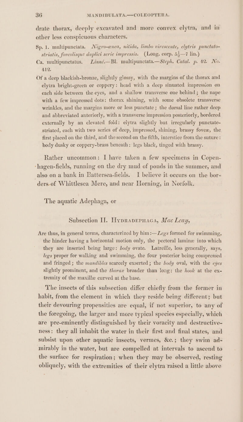 ‘ drate thorax, deeply excavated and more convex. elytra, and in other less conspicuous characters. Sp. 1. multipunctata. Nigro-enea, nitida, limbo virescente, elytris punctato- striatis, foveolisque duplici serie impressis. (Mong. corp. 55—7 lin.) Bl. multipunctata.x—Steph, Catal. p. 42. No. Ca. multipunctatus. Linné. 412. Of a deep blackish-bronze, slightly glossy, with the margins of the thorax and elytra bright-green or coppery: head with a deep sinuated impression on each side between the eyes, and a shallow transverse one behind ; the nape with a few impressed dots: thorax shining, with some obsolete transverse wrinkles, and the margins more or less punctate; the dorsal line rather deep and abbreviated anteriorly, with a transverse impression posteriorly, bordered. externally by an elevated foid: elytra slightly but irregularly punctate- striated, each with two series of deep, impressed, shining, brassy fovee, the first placed on the third, and the second on the fifth, interstice from the suture : body dusky or coppery-brass beneath: legs black, tinged with brassy. Rather uncommon: I have taken a few specimens in Copen- ‘hagen-fields, running on the dry mud of ponds in the summer, and also on a bank in Battersea-fields. I believe it occurs on the bor- ders-of Whittlesea Mere, and near Horning, in Norfolk. The aquatic Adephaga, or Subsection I]. Hypraprruaca, Mac Leay, Are thus, in general terms, characterized by him :—Leg's formed for swimming, the hinder having a horizontal motion only, the pectoral lamine into which they are inserted being large: body ovate. Latreille, less generally, says, legs proper for walking and swimming, the four posterior being compressed and fringed ; the mandibles scarcely exserted ; the body oval, with the eyes slightly prominent, and the thorax broader than long: the hook at the ex- tremity of the maxille curved at the base. The insects of this subsection differ chiefly from the former in habit, from the element in which they reside being different; but their devouring propensities are equal, if not superior, to any of the foregoing, the larger and more typical species especially, which are pre-eminently distinguished by their voracity and destructive- ness: they all inhabit the water in their first and final states, and subsist upon other aquatic insects, vermes, &amp;c.; they swim ad- mirably in the water, but are compelled at intervals to ascend to the surface for respiration; when they may be observed, resting obliquely, with the extremities of their elytra raised a little above