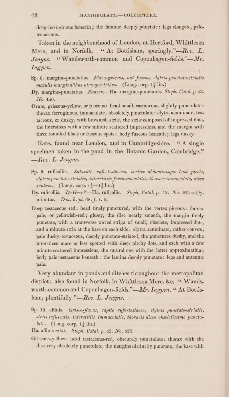 deep-ferruginous beneath ; the lamine deeply punctate: legs elongate, pale« testaceous. Taken in the neighbourhood of London, at Hertford, Whittlesea Mere, and in Norfolk. “ At Bottisham, sparingly.”—Rev. L. Jenyns. ‘ Wandsworth-common and Copenhagen-fields.”—Mr. Ingen. Sp. 8. margine-punctatus. Flavo-griseus, aut fuscus, elytris punctato-striatis maculis marginalibus utrinque tribus. (Long. corp. 1 lin.) Dy. margine-punctatus. Panzer.—Ha. margine-punctatus. Steph. Catal. p. 43. No. 420. Ovate, griseous-yellow, or fuscous: head small, castaneous, slightly punctulate : thorax ferruginous, immaculate, obsoletely punctulate: elytra acuminate, tes- taceous, or dusky, with brownish strie, the striee composed of impressed dots, the interstices with a few minute scattered impressions, and the margin with three rounded black or fuscous spots: body fuscous beneath ; legs dusky. Rare, found near London, and in Cambridgeshire. ‘A single specimen taken in the pond in the Botanic Garden, Cambridge.” —Rev. L. Jenyns. Sp. 9. ruficollis. Saturaté rufo-testaceus, vertice abdominisque basi piceis, elytris punctato-striatis, interstitiis fusco-maculatis, thorace immaculato, disce subleve. (Long. corp. 13—13 lin.) Dy. ruficollis. De Geer ?—Ha. ruficollis. Steph. Catal. p. 43. No. 421.—Dy. minutus. Don. ii. pl. 68. f. 1. 2. | Deep testaceous red: head finely punctured, with the vertex piceous: thorax pale, or yellowish-red ; glossy, the disc nearly smooth, the margin finely punctate, with a transverse waved striga of small, obsolete, impressed dots, and a minute stria at the base on each side: elytra acuminate, rather convex, pale dusky-testaceous, deeply punctate-striated, the punctures dusky, and the interstices more or less spotted with deep pitchy dots, and each with a few minute scattered impressions, the sutural one with the latter approximating: body pale-testaceous beneath: the lamina deeply punctate: legs and antenne pale. Very abundant in ponds and ditches throughout the metropolitan district: also found in Norfolk, in Whittlesea Mere, &amp;c. ‘* Wands- worth-common and Copenhagen-fields.”—Mr. Ingpen. “ At Bottis- ham, plentifully.”—Rev. L. Jenyns. Sp. 10. affinis. Griseo-flavus, capite rufo-testaceo, elytris punctato-striatis, striis infuscatis, interstitiis ammaculatis, thoracis disco obsoletissime punctu~ lato. (Long. corp, 1+ lin.) j Ha. affinis mihi. Steph. Catal. p. 43. No. 422. Griseous-yellow: head testaceous-red, obscurely punctulate: thorax with the dise very obsoletely punctulate, the margins distinctly punctate, the base with