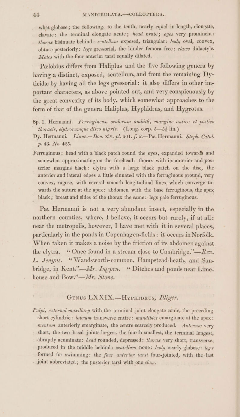 what globose ; the following, to the tenth, nearly equal in length, elongate, clavate: the terminal elongate acute; head ovate; eyes very prominent: thorax bisinuate behind: scutellum exposed, triangular: body oval, convex, obtuse posteriorly: legs eressorial, the hinder femora free: claws didactyle. Males with the four anterior tarsi equally dilated. Pelobius differs from Haliplus and the five following genera by having a distinct, exposed, scutellum, and from the remaining Dy- ticidee by having all the legs gressorial: it also differs in other im- portant characters, as above pointed out, and very conspicuously by the great convexity of its body, which somewhat approaches to the form of that of the genera Haliplus, Hyphidrus, and Hygrotus. Sp. 1. Hermanni. Ferrugineus, oculorum ambitii, margine antico et postico thoracis, elytrorumque disco nigris. (Long. corp. 5—5¢ lin.) Dy. Hermanni. Linné.—Don. xiv. pl. 501. f- 2—Pe.Hermanni. Steph. Catal. pp. 43. No. 425. | Ferruginous: head with a black patch round the eyes, expanded towards and somewhat approximating on the forehead: thorax with its anterior and pos- terior margins black: elytra with a large black patch on the disc, the anterior and lateral edges a little sinuated with the ferruginous ground, very convex, rugose, with several smooth longitudinal lines, which converge to- wards the suture at the apex: abdomen with the base ferruginous, the apex black ; breast and sides of the thorax the same: legs pale ferruginous. Pe. Hermanni is not a very abundant insect, especially in the northern counties, where, I believe, it occurs but rarely, if at all: near the metropolis, however, I have met with it in several places, particularly in the ponds in Copenhagen-fields : it occurs in Norfolk. When taken it makes a noise by the friction of its abdomen against the elytra. ‘ Once found in a stream close to Cambridge.”— Rev. L. Jenyns. ‘* Wandsworth-common, Hampstead-heath, and Sun- bridge, in Kent.’— Mr. Ingpen. * Ditches and ponds near Lime- house and Bow.”—Mr, Stone. Genus LX XIX.—Hypuinrvs, Llliger. Palpi, external maxillary with the terminal joint elongate conic, the preceding short cylindric: labrum transverse entire: mandibles emarginate at the apex: mentum anteriorly emarginate, the centre scarcely produced. Antenne very short, the two basal joints largest, the fourth smallest, the terminal longest, abruptly acuminate: head rounded, depressed: thorax very short, transverse, produced in the middle behind: scutellum none: body nearly globose: leg's formed for swimming: the four anterior tarsi four-jointed, with the -last - joint abbreviated ; the posterior tarsi with one claw.