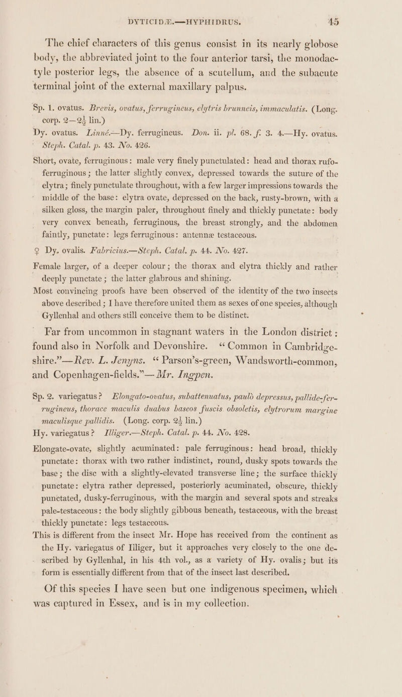 The chief characters of this genus consist in its nearly globose body, the abbreviated joint to the four anterior tarsi, the monodac- tyle posterior legs, the absence of a scutellum, and the subacute terminal joint of the external maxillary palpus. Sp. 1. ovatus. Brevis, ovatus, ferrugineus, elytris brunneis, immaculatis. (Long. corp. 2—23 lin.) Dy. ovatus. Linné.—Dy. ferrugineus. Don. ii. pl. 68. f. 3. 4.—Hy. Orne. Steph. Catal. p. 43. No. 426. Short, ovate, ferruginous: male very finely punctulated: head and thorax rufo- ferruginous ; the latter slightly convex, depressed towards the suture of the elytra; finely punctulate throughout, with a few larger impressions towards the middle of the base: elytra ovate, depressed on the back, rusty-brown, with a silken gloss, the margin paler, throughout finely and thickly punctate: body very convex beneath, ferruginous, the breast strongly, and the abdomen faintly, punctate: legs ferruginous: antenne testaceous. Q Dy. ovalis. Fabricius.—Steph. Catal. p. 44. No. 427. Female larger, of a deeper colour; the thorax and elytra thickly and male. deeply punctate ; the latter glabrous and shining. Most convincing proofs have been observed of the identity of the two insects above described ; I have therefore united them as sexes of one species, although Gyllenhal and others still conceive them to be distinct. Far from uncommon in stagnant waters in the London district : found also in Norfolk and Devonshire. ‘Common in Cambridge- shire.’— Rev. L. Jenyns. ‘ Parson’s-green, Wandsworth-common, and Copenhagen-fields.”— Mr. Ingpen. Sp. 2. variegatus? longato-ovatus, subattenuatus, paulo depressus, pallide-fer= rugineus, thorace maculis duabus bhaseos fuscis obsoletis, elytrorum margine maculisque pallidis. (Long. corp. 23 lin.) Hy. variegatus? Iliger.—Steph. Catal. p. 44. No. 428. Elongate-ovate, slightly acuminated: pale ferruginous: adi broad, thickly punctate: thorax with two rather indistinct, round, dusky spots towards the base ; the disc with a slightly-elevated transverse line; the surface thickly punctate: elytra rather depressed, posteriorly acuminated, obscure, thickly punctated, dusky-ferruginous, with the margin and several spots and streaks pale-testaceous: the body slightly gibbous beneath, testaceous, with the breast thickly punctate: legs testaceous. . This is different from the insect Mr. Hope has received from the continent as the Hy. variegatus of Iiliger, but it approaches very closely to the one de- scribed by Gyllenhal, in his 4th vol., as a variety of Hy. ovalis; but its form is essentially different from that of the insect last described. Of this species I have seen but one indigenous specimen, whicli . was captured in Essex, and is in my collection.