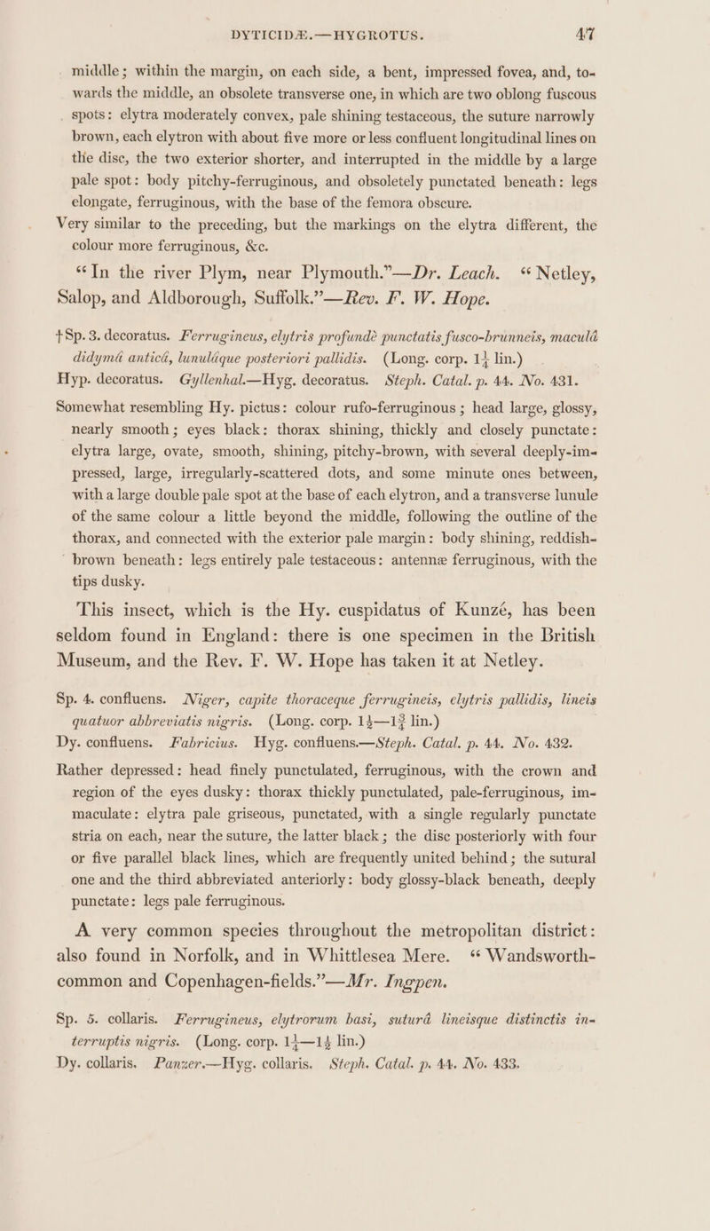 middle; within the margin, on each side, a bent, impressed fovea, and, to- wards the middle, an obsolete transverse one, in which are two oblong fuscous _ spots: elytra moderately convex, pale shining testaceous, the suture narrowly brown, each elytron with about five more or less confluent longitudinal lines on thie disc, the two exterior shorter, and interrupted in the middle by a large pale spot: body pitchy-ferruginous, and obsoletely punctated beneath: legs elongate, ferruginous, with the base of the femora obscure. Very similar to the preceding, but the markings on the elytra different, the colour more ferruginous, &amp;c. “In the river Plym, near Plymouth.”—Dr. Leach. “ Netley, Salop, and Aldborough, Suffolk.”’—Rev. F. W. Hope. tSp. 3. decoratus. Ferrugineus, elytris profundé punctatis fusco-brunneis, macula didyma antici, lunuldque posteriori pallidis. (Long. corp. 14 lin.) Hyp. decoratus. Gyllenhal.—Hyg. decoratus. Steph. Catal. p. 44. No. 431. Somewhat resembling Hy. pictus: colour rufo-ferruginous ; head large, glossy, nearly smooth; eyes black: thorax shining, thickly and closely punctate: elytra large, ovate, smooth, shining, pitchy-brown, with several deeply-im- pressed, large, irregularly-scattered dots, and some minute ones between, with a large double pale spot at the base of each elytron, and a transverse lunule of the same colour a little beyond the middle, following the outline of the thorax, and connected with the exterior pale margin: body shining, reddish- brown beneath: legs entirely pale testaceous: antenne ferruginous, with the tips dusky. This insect, which is the Hy. cuspidatus of Kunzé, has been seldom found in England: there is one specimen in the British Museum, and the Rev. I’. W. Hope has taken it at Netley. Sp. 4. confluens. Miger, capite thoraceque ferrugineis, elytris pallidis, lineis quatuor abbreviatis nigris. (Long. corp. 14—1¢ lin.) Dy. confluens. Fabricius. Hyg. confluens.—Steph. Catal. p. 44. No. 432. Rather depressed: head finely punctulated, ferruginous, with the crown and region of the eyes dusky: thorax thickly punctulated, pale-ferruginous, im- maculate: elytra pale griseous, punctated, with a single regularly punctate stria on each, near the suture, the latter black; the disc posteriorly with four or five parallel black lines, which are frequently united behind; the sutural one and the third abbreviated anteriorly: body glossy-black beneath, deeply punctate: legs pale ferruginous. A very common species throughout the metropolitan district: also found in Norfolk, and in Whittlesea Mere. ** Wandsworth- common and Copenhagen-fields.”—Mr. Ingpen. Sp. 5. collaris. Ferrugineus, elytrorum basi, suturd lineisque distinctis in= terruptis nigris. (Long. corp. 14—14 lin.) Dy. collaris. Panzer.—Hyg. collaris. Steph. Catal. p. 44. No. 433.