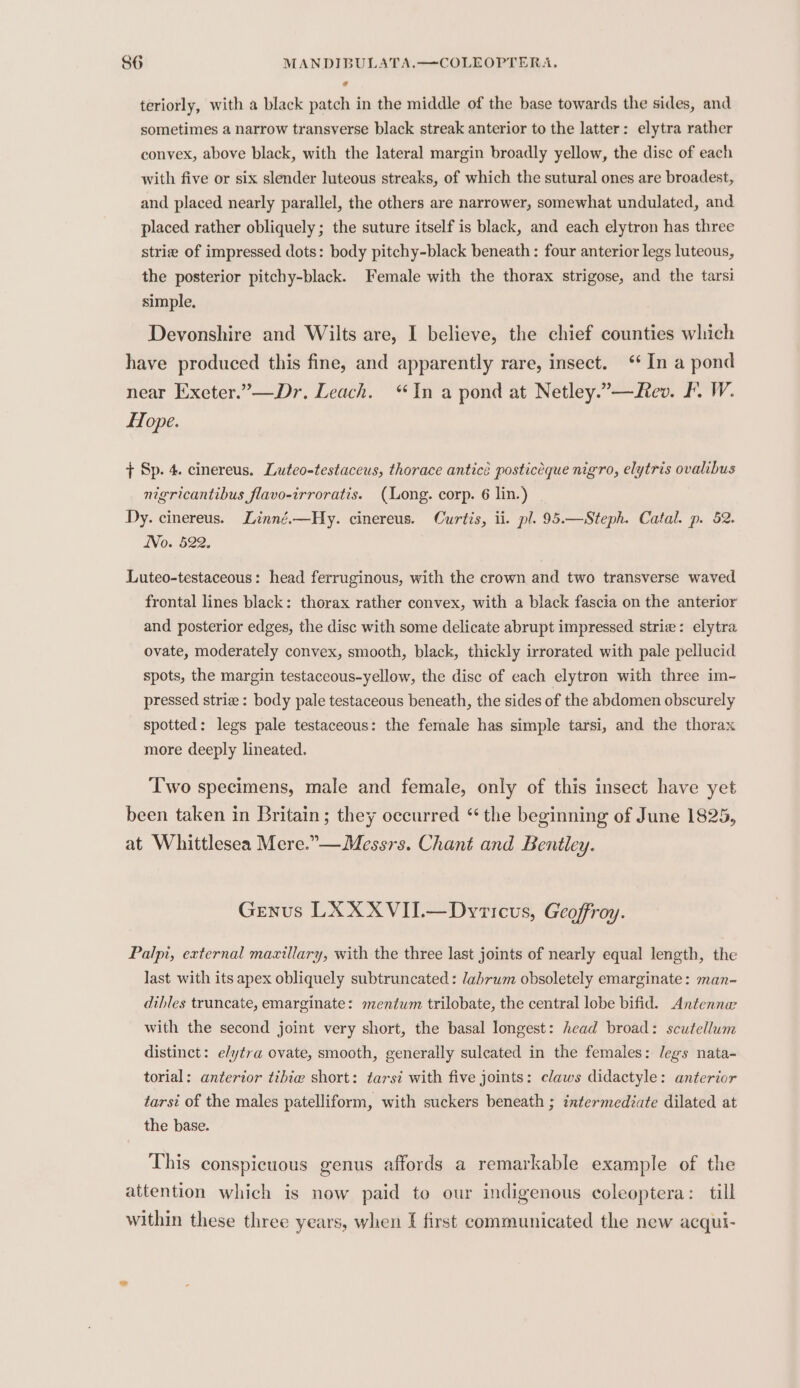 teriorly, with a black patch in the middle of the base towards the sides, and sometimes a narrow transverse black streak anterior to the latter: elytra rather convex, above black, with the lateral margin broadly yellow, the disc of each with five or six slender luteous streaks, of which the sutural ones are broadest, and placed nearly parallel, the others are narrower, somewhat undulated, and placed rather obliquely; the suture itself is black, and each elytron has three strie of impressed dots: body pitchy-black beneath: four anterior legs luteous, the posterior pitchy-black. Female with the thorax strigose, and the tarsi simple. Devonshire and Wilts are, I believe, the chief counties which have produced this fine, and apparently rare, insect. ‘In a pond near Exeter.”—Dr. Leach. “In a pond at Netley.”—Rev. Ff. W. Hope. + Sp. 4. cinereus. Luteo-testaceus, thorace anticé posticeque nigro, elytris ovalibus nigricantibus flavo-irroratis. (Long. corp. 6 lin.) Dy. cinereus. Linné.—Hy. cinereus. Curtis, ii. pl. 95.—Steph. Catal. p. 52. No. 522. Luteo-testaceous: head ferruginous, with the crown and two transverse waved frontal lines black: thorax rather convex, with a black fascia on the anterior and posterior edges, the disc with some delicate abrupt impressed strie: elytra ovate, moderately convex, smooth, black, thickly irrorated with pale pellucid spots, the margin testaceous-yellow, the disc of each elytron with three im- pressed strie : body pale testaceous beneath, the sides of the abdomen obscurely spotted: legs pale testaceous: the female has simple tarsi, and the thorax more deeply lineated. Two specimens, male and female, only of this insect have yet been taken in Britain; they occurred “ the beginning of June 1825, at Whittlesea Mere.”—Messrs. Chant and Bentley. Genus LXXXVII.—Dyrticus, Geoffroy. Palpi, external maxillary, with the three last joints of nearly equal length, the last with its apex obliquely subtruncated: labrum obsoletely emarginate: man- dibles truncate, emarginate: mentum trilobate, the central lobe bifid. Antenna with the second joint very short, the basal longest: head broad: scutellum distinct: elytra ovate, smooth, generally sulecated in the females: legs nata- torial: anterior tibiw short: tarsi with five joints: claws didactyle: anterior tarsi of the males patelliform, with suckers beneath ; intermediate dilated at the base. This conspicuous genus affords a remarkable example of the attention which is now paid to our indigenous coleoptera: till within these three years, when I first communicated the new acqui-