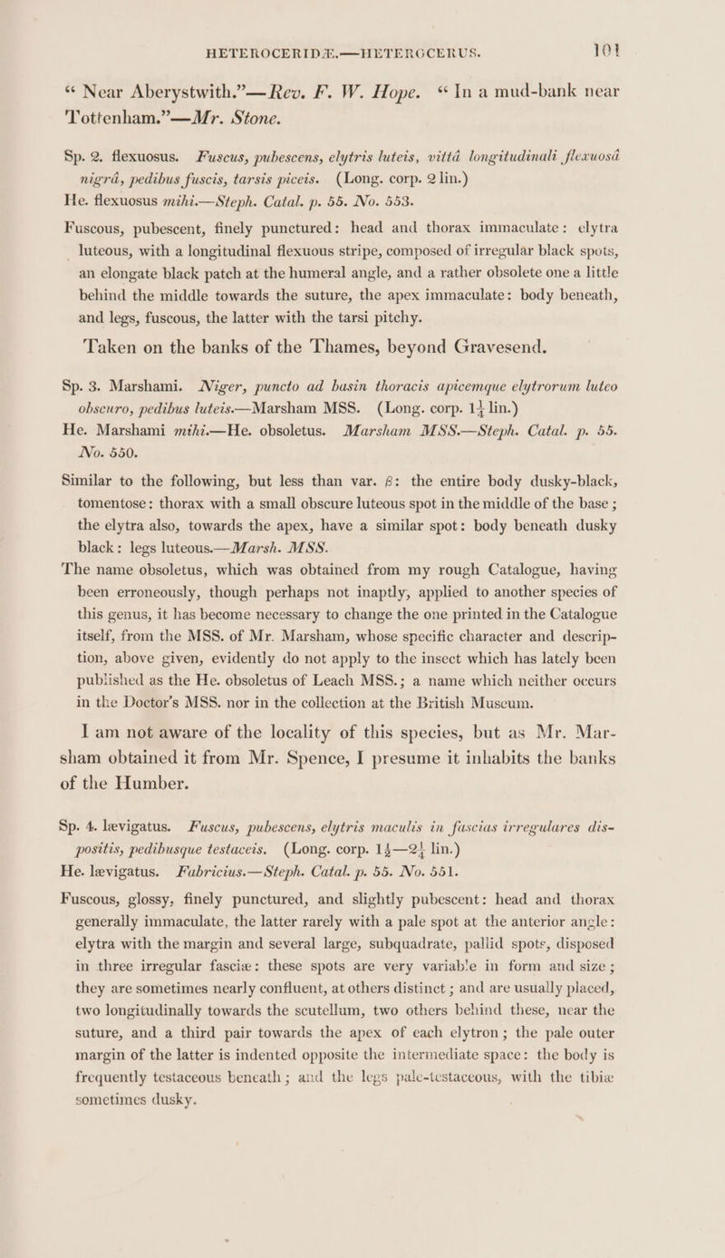 “* Near Aberystwith.”— Rev. F. W. Hope. “In a mud-bank near Tottenham.”—WMr. Stone. Sp. 2. flexuosus. Fuscus, pubescens, elytris luteis, vittd longitudinali flexuosa nigra, pedibus fuscis, tarsis piceis. (Long. corp. 2 lin.) He. flexuosus mihi.—Steph. Catal. p. 55. No. 553. Fuscous, pubescent, finely punctured: head and thorax immaculate: elytra _ luteous, with a longitudinal flexuous stripe, composed of irregular black spots, an elongate black patch at the humeral angle, and a rather obsolete one a little behind the middle towards the suture, the apex immaculate: body beneath, and legs, fuscous, the latter with the tarsi pitchy. Taken on the banks of the Thames, beyond Gravesend. Sp. 3. Marshami. Niger, puncto ad basin thoracis apicemque elytrorum luteo obscuro, pedibus lutets—Marsham MSS. (Long. corp. 1} lin.) He. Marshami mthi.—He. obsoletus. Marsham MSS.—Steph. Catal. p. 55. No. 550. Similar to the following, but less than var. &amp;: the entire body dusky-black, tomentose: thorax with a small obscure luteous spot in the middle of the base ; the elytra also, towards the apex, have a similar spot: body beneath dusky black: legs luteous.— Marsh. MSS. The name obsoletus, which was obtained from my rough Catalogue, having been erroneously, though perhaps not inaptly, applied to another species of this genus, it has become necessary to change the one printed in the Catalogue itself, from the MSS. of Mr. Marsham, whose specific character and descrip- tion, above given, evidently do not apply to the insect which has lately been published as the He. obsoletus of Leach MSS.; a name which neither occurs in the Doctor’s MSS. nor in the collection at the British Muscum. I am not aware of the locality of this species, but as Mr. Mar- sham obtained it from Mr. Spence, I presume it inhabits the banks of the Humber. Sp. 4. levigatus. Fuscus, pubescens, elytris maculis in fascias irregulares dis- posttis, pedibusque testaceis. (Long. corp. 14—25 lin.) He. levigatus. Fubricius.—Steph. Catal. p. 55. No. 551. Fuscous, glossy, finely punctured, and slightly pubescent: head and thorax generally immaculate, the latter rarely with a pale spot at the anterior angle: elytra with the margin and several large, subquadrate, pallid spots, disposed in three irregular fascie: these spots are very variab!e in form and size ; they are sometimes nearly confluent, at others distinct ; and are usually placed, two longitudinally towards the scutellum, two others behind these, near the suture, and a third pair towards the apex of each elytron; the pale outer margin of the latter is indented opposite the intermediate space: the body is frequently testaceous beneath; and the legs pale-testaceous, with the tibie sometimes dusky.