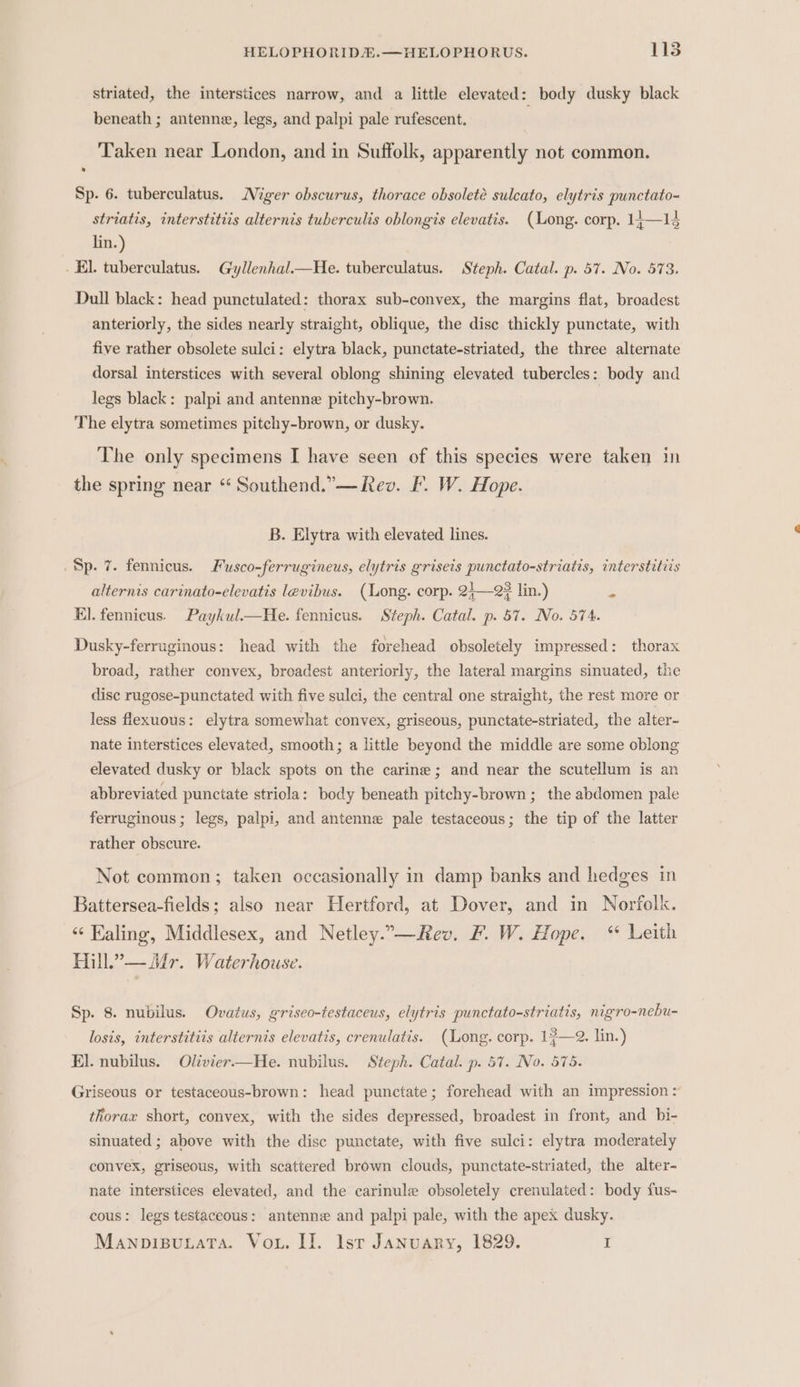 striated, the interstices narrow, and a little elevated: body dusky black beneath ; antenne, legs, and palpi pale rufescent. Taken near London, and in Suffolk, apparently not common. Sp. 6. tuberculatus. Niger obscurus, thorace obsoleté sulcato, elytris punctato- striatis, interstitiis alternis tuberculis oblongis elevatis. (ong. corp. 14—14 lin.) El. tuberculatus. Gyllenhal.—He. tuberculatus. Steph. Catal. p. 57. No. 573. Dull black: head punctulated: thorax sub-convex, the margins flat, broadest anteriorly, the sides nearly straight, oblique, the disc thickly punctate, with five rather obsolete sulci: elytra black, punctate-striated, the three alternate dorsal interstices with several oblong shining elevated tubercles: body and legs black: palpi and antenne pitchy-brown. The elytra sometimes pitchy-brown, or dusky. The only specimens I have seen of this species were taken in the spring near “ Southend.”— Rev. F. W. Hope. B. Elytra with elevated lines. Sp. 7. fennicus. Fusco-ferrugineus, elytris griseis punctato-striatis, interstitiis alternis carinato-elevatis levibus. (Long. corp. 24-2? lin.) ‘ El.fennicus. Paykul.—He. fennicus. Steph. Catal. p. 57. No. 574. Dusky-ferruginous: head with the forehead obsoletely impressed: thorax broad, rather convex, broadest anteriorly, the lateral margins sinuated, the disc rugose-punctated with five sulci, the central one straight, the rest more or less flexuous: elytra somewhat convex, griseous, punctate-striated, the alter- nate interstices elevated, smooth; a little beyond the middle are some oblong elevated dusky or black spots on the carine ; and near the scutellum is an abbreviated punctate striola: body beneath pitchy-brown ; the abdomen pale ferruginous ; legs, palpi, and antenne pale testaceous; the tip of the latter rather obscure. Not common ; taken occasionally in damp banks and hedges in Battersea-fields; also near Hertford, at Dover, and in Norfolk. ‘“¢ Faling, Middlesex, and Netley.”—Rev. F. W. Hope. * Leith Hill.’— Mr. Waterhouse. Sp. 8. nubilus. Ovatus, griseo-testaceus, elytris punctato-striatis, nigro-nebu- losis, interstitiis alternis elevatis, crenulatis. (Long. corp. 17—2. lin.) El. nubilus. Olivier—He. nubilus. Steph. Catal. p. 57. No. 575. Griseous or testaceous-brown: head punctate; forehead with an impression : thorax short, convex, with the sides depressed, broadest in front, and bi- sinuated ; above with the disc punctate, with five sulci: elytra moderately convex, griseous, with scattered brown clouds, punctate-striated, the alter- nate interstices elevated, and the carinule obsoletely crenulated: body fus- cous: legs testaceous: antenne and palpi pale, with the apex dusky. ManpipuuaTa. Vou. II. Isr January, 1829. I