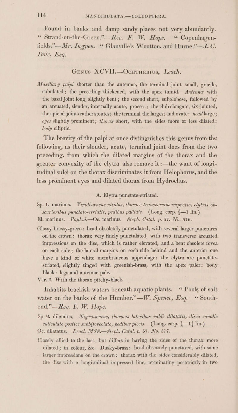 Found in banks and damp sandy places not very abundantly. “¢ Strand-on-the-Green.”— Rev. F. W. Hope. Copenhagen- fields.,—Mr. Ing‘pen. * Glanville’s Wootton, and Hurne.”— J. C. Dale, Esq. Genus XCVII.—Ocutuesius, Leach. Maxillary palpi shorter than the antenne, the terminal joint small, gracile, subulated ; the preceding thickened, with the apex tumid. Antenne with the basal joint long, slightly bent ; the second short, subglobose, followed by an arcuated, slender, internally acute, process ; the club elongate, six-jointed, the apicial joints rather stoutest, the terminal the largest and ovate: head large; eyes slightly prominent; thorax short, with the sides more or less dilated: body elliptic. The brevity of the palpi at once distinguishes this genus from the following, as their slender, acute, terminal joint does from the two preceding, from which the dilated margins of the thorax and the greater convexity of the elytra also remove it :—the want of longi- tudinal sulci on the thorax discriminates it from Helophorus, and the less prominent eyes and dilated thorax from Hydrochus. A. Elytra punctate-striated. Sp. 1. marinus. Viridi-eneus nitidus, thorace transversim ampresso, elytris ob- scuriorthbus punctato-striatis, pedibus pallidis. (ong. corp. ?—1 lin.) El. marinus. Paykul—Oc. marinus. Steph. Catal. p. 57. No. 576. Glossy brassy-green: head obsoletely punctulated, with several larger punctures on the crown: thorax very finely punctulated, with two transverse arcuated impressions on the disc, which is rather elevated, and a bent obsolete fovea on each side; the lateral margins on each side behind and the anterior one have a kind of white membraneous appendage: the elytra are punctate- striated, slightly tinged with greenish-brass, with the apex paler: body black: legs and antenna pale. Var. 6. With the thorax pitchy-black. Inhabits brackish waters beneath aquatic plants. ‘ Pools of salt water on the banks of the Humber.”—W. Syence, Esq. ‘ South- end.”—Rev. F. W. Hope. Sp. 2. dilatatus. Migro-ceneus, thoracis lateribus valdé dilatatis, disco canali- culiculato postice subbifoveolato, pedibus piceis. (Long. corp. §—1, lin.) Oc. dilatatus. Leach MMSS.—Steph. Catal. p. 57. No. 577. Closely allied to the last, but differs in having the sides of the thorax more dilated ; in colour, &amp;c. Dusky-brass: head obscurely punctured, with some larger impressions on the crown: thorax with the sides considerably dilated, the disc with a longitudinal impressed line, terminating posteriorly in two