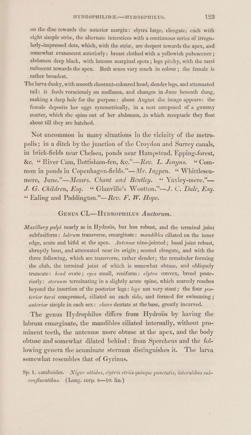 on the dise towards the anterior margin: elytra large, elongate, each with eight simple strie, the alternate interstices with a continuous series of irregu- larly-impressed dots, which, with the strie, are deepest towards the apex, and somewhat evanescent anteriorly: breast clothed with a yellowish pubescence ; abdomen deep black, with luteous marginal spots ; legs pitchy, with the tarsi rufescent towards the apex. Both sexes vary much in colour; the female is rather broadest. The larva dusky, with smooth chestnut-coloured head, slender legs, and attenuated tail: it feeds voraciously on mollusca, and changes in June beneath dung, making a deep hole for the purpose: about August the imago appears: the female deposits her eggs symmetrically, in a nest composed of a gummy matter, which she spins out of her abdomen, in which receptacle they float about till they are hatched. Not uncommon in many situations in the vicinity of the metro- polis; in a ditch by the junction of the Croydon and Surrey canals, in brick-fields near Chelsea, ponds near Hampstead, Epping-forest, &amp;e. “ River Cam, Bottisham-fen, &amp;c.”—Rev. L. Jenyns. * Com- mon in ponds in Copenhagen-fields.”— Mr. Ingpen. “ Whittlesea- mere, June.”—Messrs. Chant and Bentley. ‘* Yaxley-mere.”— J. G. Children, Esq.“ Glanville’s Wootton.”-——J. C. Dale, Esq. ‘“‘ Kaling and Paddington.”— Rev. F. W. Hope. Genus Cl.—Hypropnuitus Auctorum. Mazillary palpi nearly as in Hydroiis, but less robust, and the terminal joint subfusiform: /abrum transverse, emarginate: mandibles ciliated on the inner edge, acute and bifid at the apex. Antenne nine-jointed ; basal joint robust, abruptly bent, and attenuated near its origin ; second elongate, and with the three following, which are transverse, rather slender; the remainder forming the club, the terminal joint of which is somewhat obtuse, and obliquely truncate: head ovate; eyes small, reniform: elytra convex, broad poste-_ riorly: sternum terminating in a slightly acute spine, which scarcely reaches beyond the insertion of the posterior legs: legs not very stout; the four pos- terior tarst compressed, ciliated on each side, and formed for swimming ; anterior simple in each sex: claws dentate at the base, greatly incurved. The genus Hydrophilus differs from Hydrous by having the labrum emarginate, the mandibles ciliated internally, without pro- minent teeth, the antenne more obtuse at the apex, and the body obtuse and somewhat dilated behind: from Spercheus and the fol- lowing genera the acuminate sternum distinguishes it. ‘The larva somewhat resembles that of Gyrinus. Sp. 1. caraboides. Niger nitidus, elytris strits quinque punctatis, lateralibus sub- confluentibus. (ong. corp. 8—10. lin.)