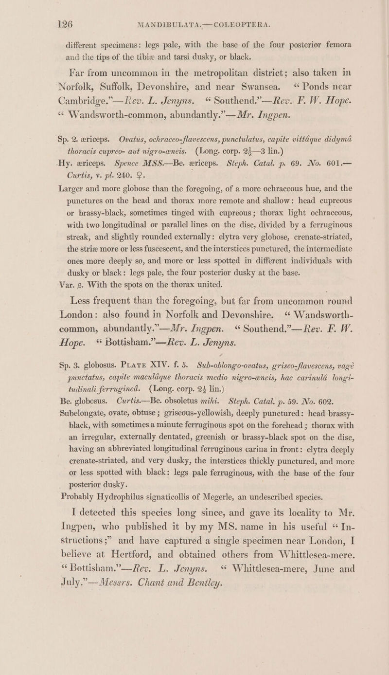 different specimens: legs pale, with the base of the four posterior femora and the tips of the tibie and tarsi dusky, or black. Far from uncommon in the metropolitan district; also taken in Norfolk, Suffolk, Devonshire, and near Swansea. ‘Ponds near Cambridge.”— Kev. L. Jenyns. “ Southend.”—Rev. F. W. Hope. “© Wandsworth-common, abundantly.”—Mr. Ingpen. Sp. 2. xriceps. Ovatus, ochraceo-flavescens, punctulatus, capite vittdque didyma thoracis cupreo- aut nigro-eneis. (Long. corp. 25—3 lin.) Hy. ericeps. Spence MSS.—Be. ericeps. Steph. Catal. p. 69. No. 601.— Curtis, v. pl. 240. 2. ; Larger and more globose than the foregoing, of a more ochraceous hue, and the punctures on the head and thorax more remote and shallow: head cupreous or brassy-black, sometimes tinged with cupreous; thorax light ochraceous, with two longitudinal or parallel lines on the disc, divided by a ferruginous streak, and slightly rounded externally: elytra very globose, crenate-striated, the strie more or less fuscescent, and the interstices punctured, the intermediate ones more deeply so, and more or less spotted in different individuals with dusky or black: legs pale, the four posterior dusky at the base. Var. 6. With the spots on the thorax united. Less frequent than the foregoing, but far from uncommon round London: also found in Norfolk and Devonshire. ‘ Wandsworth- common, abundantly.”—Mr. Ingpen. “ Southend.”— Rev. F. W. Hope. “ Bottisham.”—Rev. L. Jenyns. Sp. 3. globosus. Plate XIV. f. 5. Sub-oblongo-ovatus, griseo-flavescens, vagé punctatus, capite maculaque thoracis medio nigro-eneis, hac carinulé longi- tudinali ferrugined. (Long. corp. 24 lin.) Be. globosus. Curtis.—Be. obsoletus mihi. Steph. Catal. p. 59. No. 602. Subelongate, ovate, obtuse ; griseous-yellowish, deeply punctured: head brassy- black, with sometimes a minute ferruginous spot on the forehead ; thorax with an irregular, externally dentated, greenish or brassy-black spot on the disc, having an abbreviated longitudinal ferruginous carina in front: elytra deeply crenate-striated, and very dusky, the interstices thickly punctured, and more or less spotted with black: legs pale ferruginous, with the base of the four posterior dusky. | | Probably Hydrophilus signaticollis of Megerle, an undescribed species. I detected this species long since, and gave its locality to Mr. Ingpen, who published it by my MS. name in his useful “ In- structions ;” and have captured a single specimen near London, I believe at Hertford, and obtained others from Whittlesea-mere. “ Bottisham.”—Rev. DL. Jenyns. ‘ Whittlesea-mere, June and July.”— Messrs. Chant and Beniley.