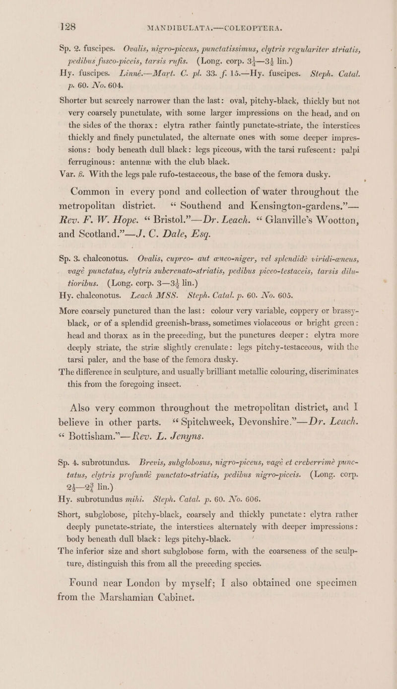 Sp. 2. fuscipes. Ovalis, nigro-piceus, punctatissimus, elytris regulariter striatis, pedibus fusco-piceis, tarsis rufis. (Long. corp. 31—33 lin.) Hy. fuscipes. Linné.—Mart. C. pl. 33. f. 15.—Hy. fuscipes. Steph. Catal. p- 60. No. 604. Shorter but scarcely narrower than the last: oval, pitchy-black, thickly but not very coarsely punctulate, with some larger impressions on the head, and on the sides of the thorax: elytra rather faintly punctate-striate, the interstices thickly and finely punctulated, the alternate ones with some deeper impres- sions: body beneath dull black: legs piceous, with the tarsi rufescent: palpi ferruginous: antenne with the club black. Var. 6. With the legs pale rufo-testaceous, the base of the femora dusky. Common in every pond and collection of water throughout the metropolitan district. ‘ Southend and Kensington-gardens.”— Rev. F. W. Hope. “ Bristol.”— Dr. Leach. “ Glanville’s Wootton, and Scotland.”—J. C. Dale, Esq. Sp. 3. chalconotus. Ovalis, cupreo- aut wneo-niger, vel splendide viridi-eneus, vage punctatus, elytris subcrenato-striatis, pedibus piceo-testaceis, tarsis dilu- tioribus. (Long. corp. 3—34 lin.) Hy. chalconotus. Leach MSS. Steph. Catal. p. 60. No. 605. More coarsely punctured than the last: colour very variable, coppery or brassy- black, or of a splendid greenish-brass, sometimes violaceous or bright green: head and thorax as in the preceding, but the punctures deeper: elytra more deeply striate, the strie slightly crenulate: legs pitchy-testaceous, with the tarsi paler, and the base of the femora dusky. The difference in sculpture, and usually brilliant metallic colouring, discriminates this from the foregoing insect. Also very common throughout the metropolitan district, and I believe in other parts. ‘¢Spitchweek, Devonshire.—Dr. Leach. “ Bottisham.”— Rev. L. Jenyns. Sp. 4. subrotundus. Brevis, subglobosus, nigro-piceus, vagé et creberrimé punc- tatus, elytris profundée punctato-striatis, pedibus nigro-piceis. (Long. corp. 24—23 lin.) Hy. subrotundus mihz. Steph. Catal. p. 60. No. 606. Short, subglobose, pitchy-black, coarsely and thickly punctate: elytra rather deeply punctate-striate, the interstices alternately with deeper impressions : body beneath dull black: legs pitchy-black. The inferior size and short subglobose form, with the coarseness of the sculp- ture, distinguish this from all the preceding species. Found near London by myself; I also obtained one specimen from the Marshamian Cabinet.