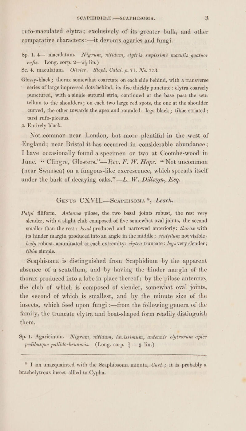 SCAPHIDIDA.—SCAPHISOMA. 5] rufo-maculated elytra; exclusively of its greater bulk, and other comparative characters :—it devours agarics and fungi. Sp. 1.4— maculatum. Migrum, nitidum, elytris saepissimée maculis quatuor rufis. Long. corp. 2—2é lin.) Se. 4. maculatum. Olivier. Steph. Catal. p. 71. No. 773. Glossy-black; thorax somewhat coarctate on each side behind, with a transverse series of large impressed dots behind, its disc thickly punctate: elytra coarsely punctured, with a single sutural stria, continued at the base past the scu- tellum to the shoulders ; on each two large red spots, the one at the shoulder curved, the other towards the apex and rounded: legs black; tibie striated ; tarsi rufo-piceous. 6. Entirely black. Not common near London, but more plentiful in the west of England; near Bristol it has occurred in considerable abundance ; I have occasionally found a specimen or two at Coombe-wood in June. “ Clingre, Glosters.”— Rev. F. W. Hope. “ Not uncommon (near Swansea) on a fungous-like excrescence, which spreads itself under the bark of decaying oaks.”—L. W. Dillwyn, Esq. Genus CXVII.—Scaruisoma*, Leach. Palpi filiform. Antenne pilose, the two basal joints robust, the rest very slender, with a slight club composed of five somewhat oval joints, the second smaller than the rest: head produced and narrowed anteriorly: thorax with its hinder margin produced into an angle in the middle: scutellwm not visible. body robust, acuminated at each extremity: elytra truncate: legs very slender ; tibie simple. Scaphisoma is distinguished from Scaphidium by the apparent absence of a scutellum, and by having the hinder margin of the thorax produced into a lobe in place thereof; by the pilose antennee, the club of which is composed of slender, somewhat oval joints, the second of which is smallest, and by the minute size of the insects, which feed upon fungi:—from the following genera of the family, the truncate elytra and boat-shaped form readily distinguish them. Sp. 1. Agaricinum. Nigrum, nitidum, levissimum, antennis elytrorum apice pedibusque pallido-brunneis. (Long. corp. #— % lin.) * IT am unacquainted with the Scaphiosoma minuta, Curé.; it is probably a brachelytrous insect allied to Cypha.