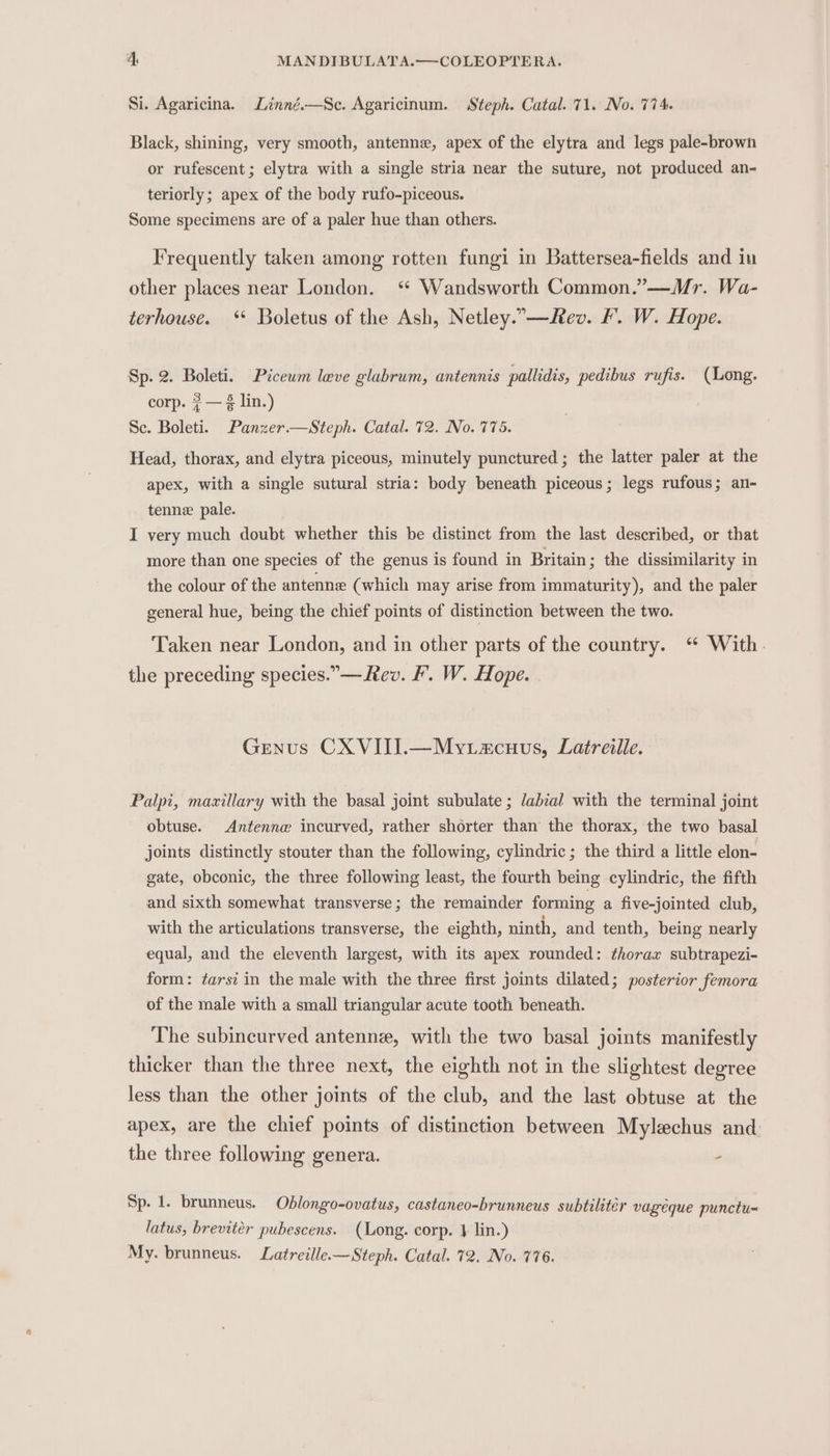 Si. Agaricina. Linné.—Sc. Agaricinum. Steph. Catal. 71. No. 774. Black, shining, very smooth, antenne, apex of the elytra and legs pale-brown or rufescent; elytra with a single stria near the suture, not produced an- teriorly; apex of the body rufo-piceous. Some specimens are of a paler hue than others. Frequently taken among rotten fungi in Battersea-fields and in other places near London. ‘ Wandsworth Common.”—Mr. Wa- terhouse. ‘* Boletus of the Ash, Netley..—Hev. F. W. Hope. Sp. 2. Boleti. Picewm lave glabrum, antennis pallidis, pedibus rufis. (Long. corp. ?— é lin.) Se. Boleti. Panzer.—Steph. Catal. 72. No. 775. Head, thorax, and elytra piceous, minutely punctured ; the latter paler at the apex, with a single sutural stria: body beneath piceous; legs rufous; an- tenne pale. I very much doubt whether this be distinct from the last described, or that more than one species of the genus is found in Britain; the dissimilarity in the colour of the antenne (which may arise from immaturity), and the paler general hue, being the chief points of distinction between the two. Taken near London, and in other parts of the country. “ With. the preceding species.— Rev. F. W. Hope. Genus CXVIII.—Mytacuus, Latreille. Palpi, mazillary with the basal joint subulate ; /abial with the terminal joint obtuse. Antenne incurved, rather shorter than the thorax, the two basal joints distinctly stouter than the following, cylindric; the third a little elon- gate, obconic, the three following least, the fourth being cylindric, the fifth and sixth somewhat transverse; the remainder forming a five-jointed club, with the articulations transverse, the eighth, ninth, and tenth, being nearly equal, and the eleventh largest, with its apex rounded: thorax subtrapezi- form: tarsi in the male with the three first joints dilated; posterior femora of the male with a small triangular acute tooth beneath. The subincurved antennz, with the two basal joints manifestly thicker than the three next, the eighth not in the slightest degree less than the other joints of the club, and the last obtuse at the apex, are the chief points of distinction between Mylechus and the three following genera. - Sp. 1. brunneus. Oblongo-ovatus, castaneo-brunneus subtilitér vageque punctu= latus, brevitér pubescens. (Long. corp. } lin.) My. brunneus. Latreille.—Steph. Catal. 72. No. 776.
