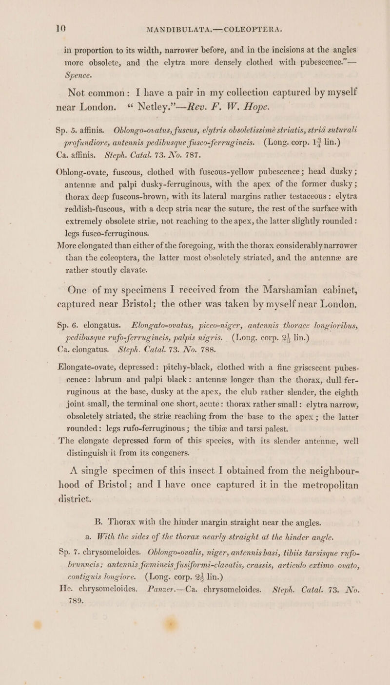 in proportion to its width, narrower before, and in the incisions at the angles more obsolete, and the elytra more densely clothed with pubescence.” — Spence. Not common: I have a pair in my collection captured by myself near London. “ Netley.”—Rev. F. W. Hope. Sp. 5. affinis. Oblongo-ovatus, fuscus, elytris obsoletissime striatis, strid suturali profundiore, antennis pedibusque fusco-ferrugineis. (Long. corp. 1? lin.) Ca. affinis. Steph. Catal. 73. No. 787. | Oblong-ovate, fuscous, clothed with fuscous-yellow pubescence; head dusky ; antenne and palpi dusky-ferruginous, with the apex of the former dusky ; thorax deep fuscous-brown, with its lateral margins rather testaceous: elytra reddish-fuscous, with a deep stria near the suture, the rest of the surface with extremely obsolete strie, not reaching to the apex, the latter slightly rounded : legs fusco-ferruginous. More elongated than either of the foregoing, with the thorax considerably narrower than the coleoptera, the latter most obsoletely striated, and the antenne are rather stoutly clavate. One of my specimens I received from the Marshamian cabinet, captured near Bristol; the other was taken by myself near London. Sp. 6. elongatus. Hlongato-ovatus, piceo-niger, antennis thorace longioribus, pedibusque rufo-ferrugineis, palpis nigris. (Long. corp. 24 lin.) Ca. elongatus. Steph. Catal. 73. No. 788. Elongate-ovate, depressed: pitchy-black, clothed with a fine grisescent pubes- cence: labrum and palpi black: antenne longer than the thorax, dull fer- ruginous at the base, dusky at the apex, the club rather slender, the eighth joint small, the terminal one short, acute: thorax rather small: elytra narrow, obsoletely striated, the striea reaching from the base to the apex; the latter rounded: legs rufo-ferruginous ; the tibie and tarsi palest. The elongate depressed form of this species, with its slender antenne, well distinguish it from its congeners. A single specimen of this insect I obtained from the neighbour- hood of Bristol; and I have once captured it in the metropolitan district. B. Thorax with the hinder margin straight near the angles. a. With the sides of the thorax nearly straight at the hinder angle. Sp. 7. chrysomeloides. Oblongo-ovalis, niger, antennis basi, tibiis tarsisque rufo- brunneis; antennis faminers fusiformi-clavatis, crassis, articulo extimo ovato, contiguis longiore. (Long. corp. 23 lin.) He. chrysomeloides. Panzer.—Ca. chrysomeloides. Steph. Catal. 73. No. 789,
