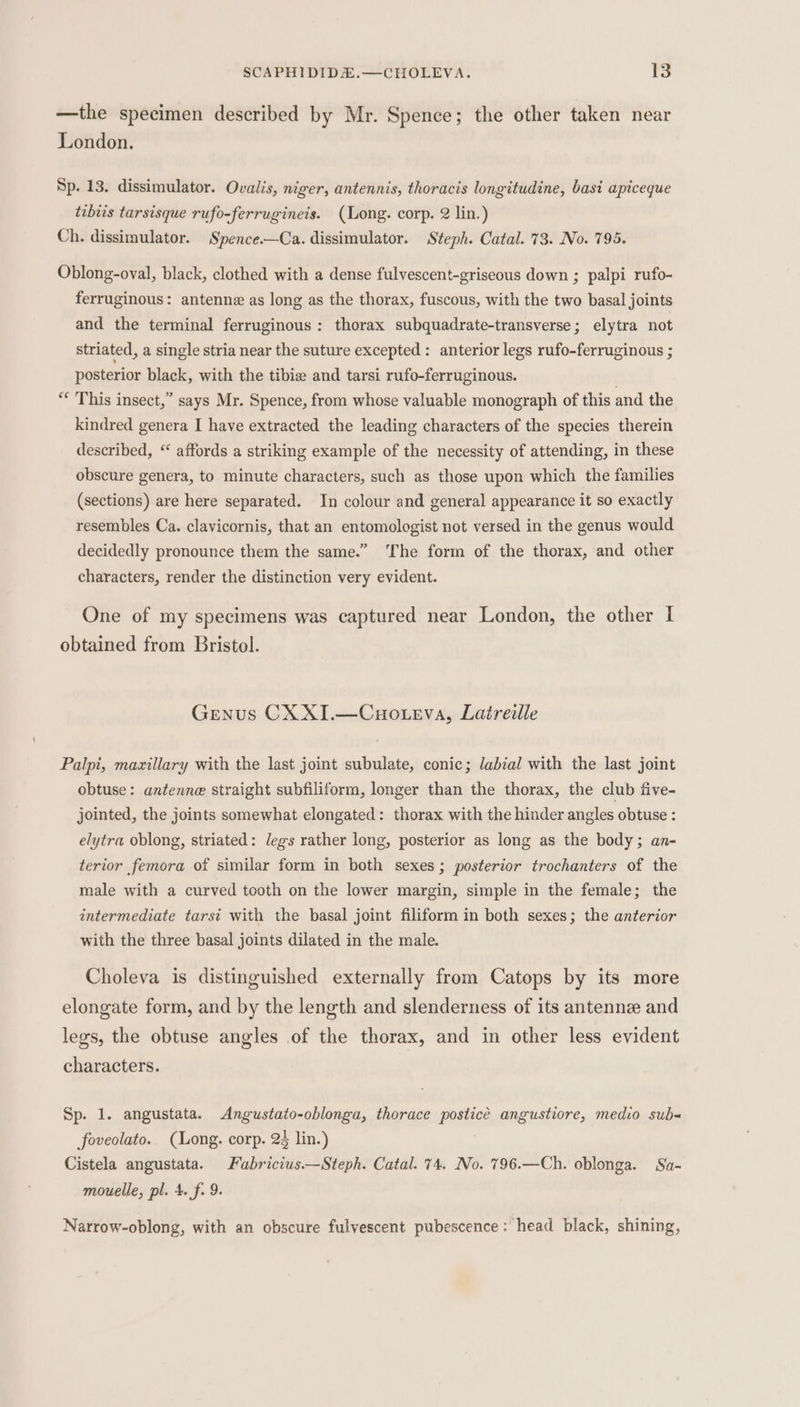 —the specimen described by Mr. Spence; the other taken near London. Sp. 13. dissimulator. Ovailis, niger, antennis, thoracis longitudine, basi apiceque tibiis tarsisque rufo-ferrugineis. (Long. corp. 2 lin.) Ch. dissimulator. Spence.—Ca. dissimulator. Steph. Catal. 73. No. 795. Oblong-oval, black, clothed with a dense fulvescent-griseous down ; palpi rufo- ferruginous: antenne as long as the thorax, fuscous, with the two basal joints and the terminal ferruginous: thorax subquadrate-transverse; elytra not striated, a single stria near the suture excepted : anterior legs rufo-ferruginous ; posterior black, with the tibie and tarsi rufo-ferruginous. | “* This insect,” says Mr. Spence, from whose valuable monograph of this and the kindred genera I have extracted the leading characters of the species therein described, “ affords a striking example of the necessity of attending, in these obscure genera, to minute characters, such as those upon which the families (sections) are here separated. In colour and general appearance it so exactly resembles Ca. clavicornis, that an entomologist not versed in the genus would decidedly pronounce them the same.” ‘The form of the thorax, and other characters, render the distinction very evident. One of my specimens was captured near London, the other I obtained from Bristol. Genus CX XI.—Cuo.eva, Latreille Palpi, mazillary with the last joint subulate, conic; labial with the last joint obtuse: antenne straight subfiliform, longer than the thorax, the club five- jointed, the joints somewhat elongated: thorax with the hinder angles obtuse : elytra oblong, striated: legs rather long, posterior as long as the body; an- terior femora of similar form in both sexes; posterior trochanters of the male with a curved tooth on the lower margin, simple in the female; the intermediate tarsi with the basal joint filiform in both sexes; the anterior with the three basal joints dilated in the male. Choleva is distinguished externally from Catops by its more elongate form, and by the length and slenderness of its antennz and legs, the obtuse angles of the thorax, and in other less evident characters. Sp. 1. angustata. Angustato-oblonga, thorace posticé angustiore, medio sub foveolato. (Long. corp. 23 lin.) Cistela angustata. Fabricius.—Steph. Catal. 74. No. 796.—Ch. oblonga. Sa- mouelle, pl. 4. f. 9. Narrow-oblong, with an obscure fulvescent pubescence: head black, shining,