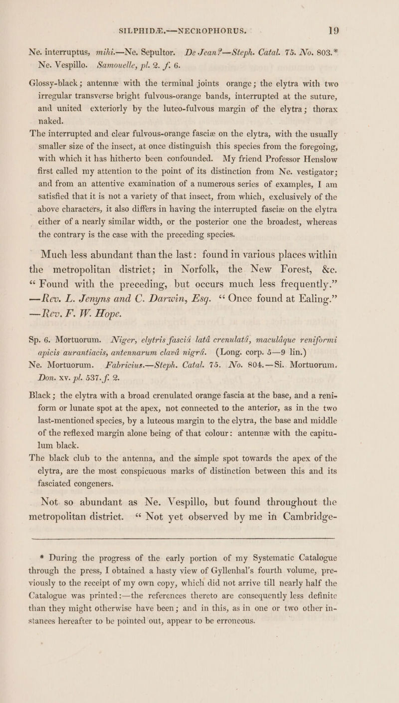 Ne. interruptus, mzhi.—Ne. Sepultor. De Jean?—Steph. Catal. 75. No. 803.* Ne. Vespillo. Samouelle, pl. 2. f. 6. Glossy-black ; antenne with the terminal joints orange; the elytra with two irregular transverse bright fulvous-orange bands, interrupted at the suture, and united exteriorly by the luteo-fulvous margin of the elytra; thorax naked. The interrupted and clear fulvous-orange fascie on the elytra, with the usually ~ smaller size of the insect, at once distinguish this species from the foregoing, with which it has hitherto been confounded. My friend Professor Henslow first called my attention to the point of its distinction from Ne. vestigator; and from an attentive examination of a numerous series of examples, I am satisfied that it is not a variety of that insect, from which, exclusively of the _ above characters, it also differs in having the interrupted fascie on the elytra _ either of a nearly similar width, or the posterior one the broadest, whereas the contrary is the case with the preceding species. Much less abundant than the last: found in various places within the metropolitan district; in Norfolk, the New Forest, &amp;c. “ Found with the preceding, but occurs much less frequently.” —Rev. L. Jenyns and C. Darwin, Esg. “ Once found at Ealing.” —Rev. F. W. Hope. Sp. 6. Mortuorum. Niger, elytris fascia lata crenulata, maculique reniformi apicis aurantiacis, antennarum clavd nigra. (Long. corp. 5—9 lin.) Ne. Mortuorum. Fabricius.—Steph. Catal. 75. No. 804.—Si.. Mortuorum. Don. xv. pl. 537. f. 2. Black ; the elytra with a broad crenulated orange fascia at the base, and a reni- form or lunate spot at the apex, not connected to the anterior, as in the two last-mentioned species, by a luteous margin to the elytra, the base and middle of the reflexed margin alone being of that colour: antenne with the capitu- lum black. The black club to the antenna, and the simple spot towards the apex of the elytra, are the most conspicuous marks of distinction between this and its fasciated congeners. Not. so abundant as Ne. Vespillo, but found throughout the metropolitan district. “* Not yet observed by me in Cambridge- * During the progress of the early portion of my Systematic Catalogue through the press, I obtained a hasty view of Gyllenhal’s fourth volume, pre- viously to the receipt of my own copy, which did not arrive till nearly half the Catalogue was printed:—the references thereto are consequently less definite than they might otherwise have been; and in this, as in one or two other in- stanees hereafter to be pointed out, appear to be erroneous. |