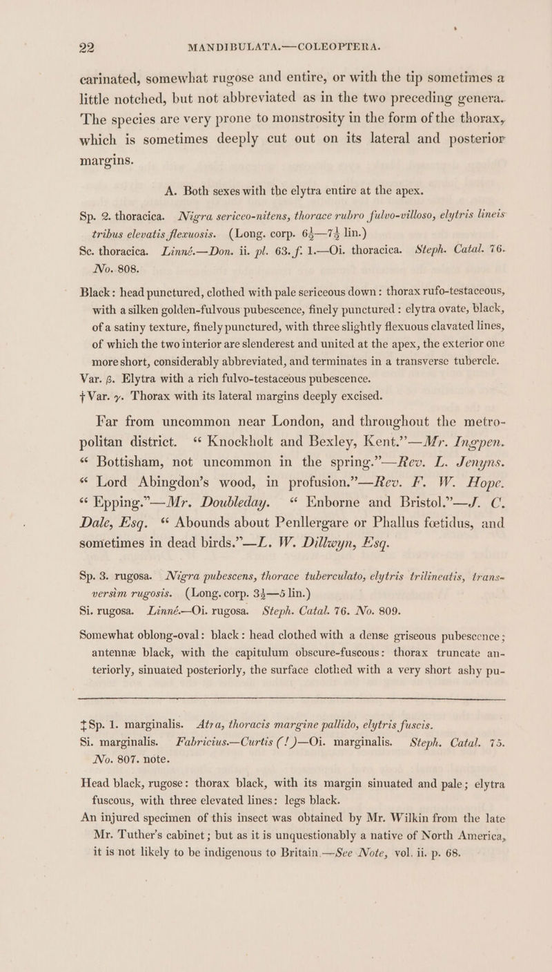carinated, somewhat rugose and entire, or with the tip sometimes a little notched, but not abbreviated as in the two preceding genera. The species are very prone to monstrosity in the form of the thorax, which is sometimes deeply cut out on its lateral and posterior margins. A. Both sexes with the elytra entire at the apex. Sp. 2. thoracica. Nigra sericeo-nitens, thorace rubro fulvo-villoso, elytris liners tribus elevatis flecuosis. (Long. corp. 64—7¢ lin.) Se. thoracica. Linné.—Don. ii. pl. 63. f. 1.—Oi. thoracica. Steph. Catal. 76. No. 808. Black: head punctured, clothed with pale sericeous down: thorax rufo-testaceous, with asilken golden-fulvous pubescence, finely punctured : elytra ovate, black, of a satiny texture, finely punctured, with three slightly flexuous clavated lines, of which the two interior are slenderest and united at the apex, the exterior one more short, considerably abbreviated, and terminates in a transverse tubercle. Var. 6. Elytra with a rich fulvo-testaceous pubescence. + Var. y. Thorax with its lateral margins deeply excised. Far from uncommon near London, and throughout the metro- politan district. ‘ Knockholt and Bexley, Kent.”—Mr. Ingpen. “ Bottisham, not uncommon in the spring.”—Rev. L. Jenyns. “ Lord Abingdon’s wood, in profusion.”—Rev. F. W. Hope. ‘¢ Epping.— Mr. Doubleday. “ Enborne and Bristol.,-—J. C. Dale, Esq. * Abounds about Penllergare or Phallus foetidus, and sometimes in dead birds.”—L. W. Dillwyn, Esq. Sp. 3. rugosa. Migra pubescens, thorace tuberculato, elytris trilineatis, trans- versim rugosis. (Long. corp. 34—6 lin.) Si. rugosa. Linné.—QOi. rugosa. Steph. Catal. 76. No. 809. Somewhat oblong-oval: black: head clothed with a dense griseous pubescence ; antenne black, with the capitulum obscure-fuscous: thorax truncate an- teriorly, sinuated posteriorly, the surface clothed with a very short ashy pu- {Sp. 1. marginalis. Altra, thoracis margine pallido, elytris fuscis. Si. marginalis. Fabricius.——Curtis (!)—Oi. marginalis. Steph. Catal. 75. No. 807. note. Head black, rugose: thorax black, with its margin sinuated and pale; elytra fuscous, with three elevated lines: legs black. An injured specimen of this insect was obtained by Mr. Wilkin from the late Mr. Tuther’s cabinet ; but as it is unquestionably a native of North America,