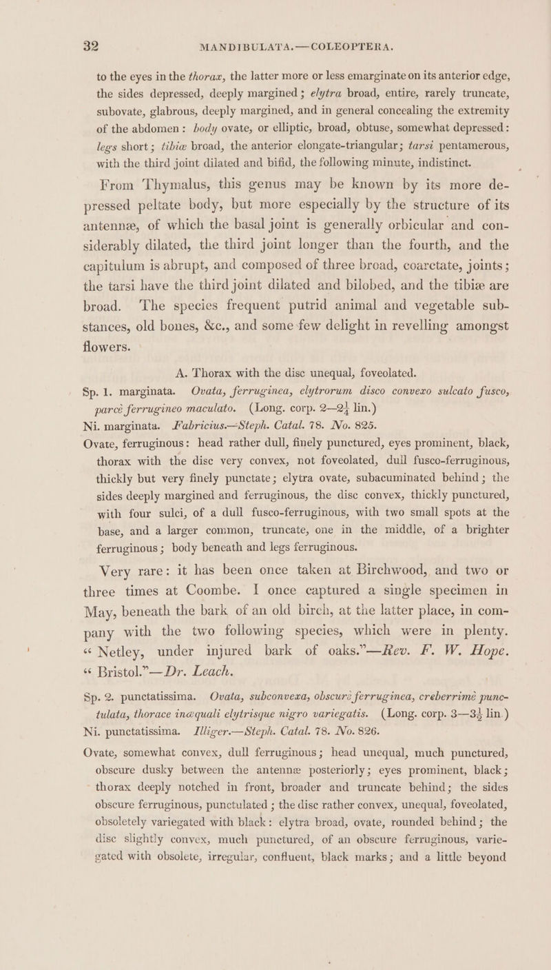 to the eyes in the thoraz, the latter more or less emarginate on its anterior edge, the sides depressed, deeply margined ; e/ytra broad, entire, rarely truncate, subovate, glabrous, deeply margined, and in general concealing the extremity of the abdomen: body ovate, or elliptic, broad, obtuse, somewhat depressed : legs short; ¢ibie broad, the anterior elongate-triangular; ¢ars¢ pentamerous, with the third joint dilated and bifid, the following minute, indistinct. From Thymalus, this genus may be known by its more de- pressed peltate body, but more especially by the structure of its antenne, of which the basal joint is generally orbicular and con- siderably dilated, the third joint longer than the fourth, and the capitulum is abrupt, and composed of three bread, coarctate, joints ; the tarsi have the third joint dilated and bilobed, and the tibie are broad. ‘The species frequent putrid animal and vegetable sub- stances, old bones, &amp;c., and some few delight in revelling amongst flowers. A. Thorax with the disc unequal, foveolated. Sp. 1. marginata. Ovata, ferruginea, elytrorum disco convexo sulcato fusco, parce ferrugineo maculato. (Long. corp. 2—2; lin.) Ni. marginata. Jabricius.—Steph. Catal. 78. No. 825. Ovate, ferruginous: head rather dull, finely punctured, eyes prominent, black, thorax with the disc very convex, not foveolated, duil fusco-ferruginous, thickly but very finely punctate; elytra ovate, subacuminated behind; the sides deeply margined and ferruginous, the disc convex, thickly punctured, with four sulci, of a dull fusco-ferruginous, with two small spots at the base, and a larger common, truncate, one in the middle, of a brighter ferruginous ; body beneath and legs ferruginous. Very rare: it has been once taken at Birchwood, and two or three times at Coombe. I once captured a single specimen in May, beneath the bark of an old birch, at the latter place, in com- pany with the two following species, which were in plenty. ‘Netley, under injured bark of oaks.”—Hev. F. W. Hope. ‘«¢ Bristol.— Dr. Leach. Sp. 2. punctatissima. Ovata, subconvewa, obscure ferruginea, creberrimé punc- tulata, thorace inequali elytrisque nigro variegatis. (Long. corp. 3—33 lin.) Ni. punctatissima. Iliiger.—Steph. Catal. 78. No. 826. Ovate, somewhat convex, dull ferruginous; head unequal, much punctured, obscure dusky between the antenne posteriorly; eyes prominent, black ; thorax deeply notched in front, broader and truncate behind; the sides obscure ferruginous, punctulated ; the disc rather convex, unequal, foveolated, obsoletely variegated with black: elytra broad, ovate, rounded behind; the dise slightly convex, much punctured, of an obscure ferruginous, varie- gated with obsolete, irregular, confluent, black marks; and a little beyond