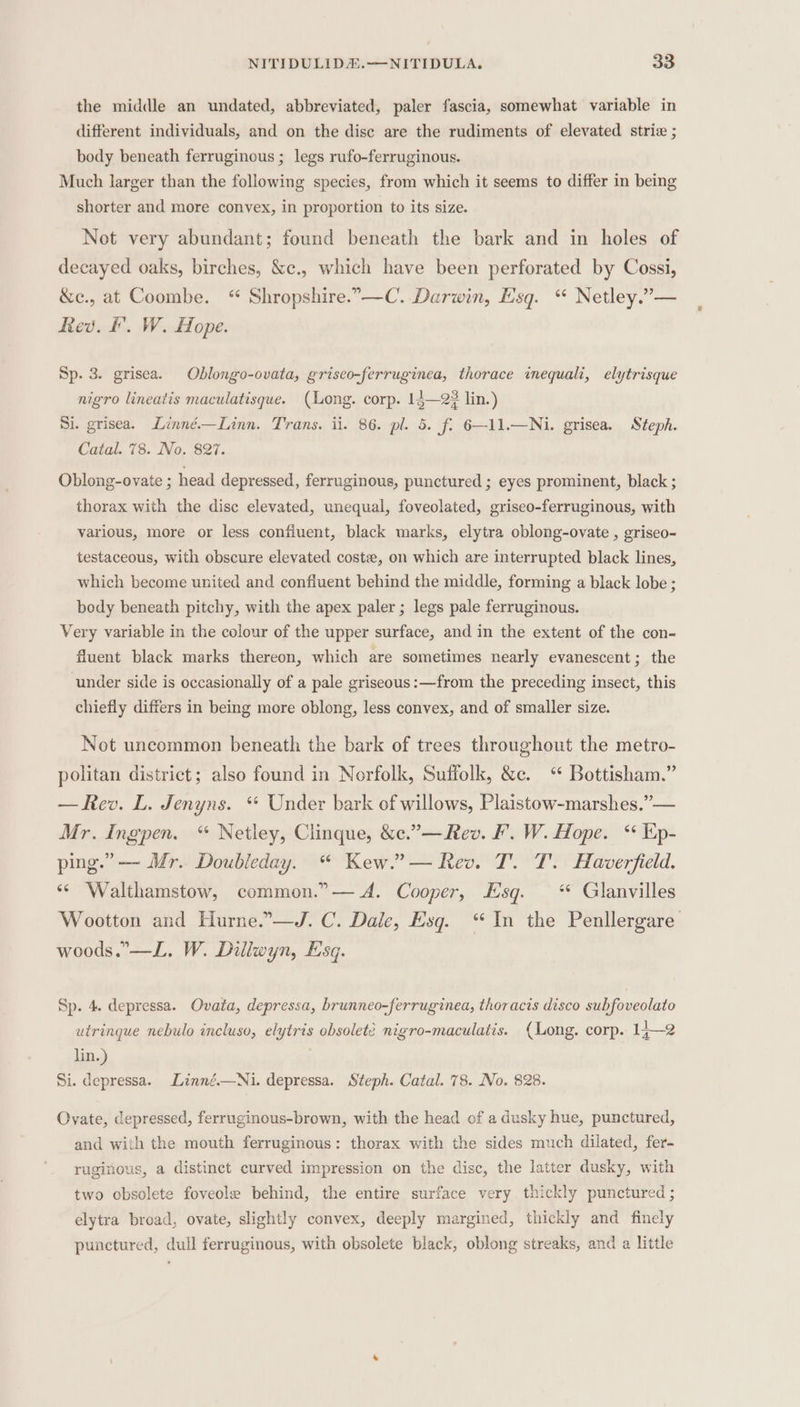 the middle an undated, abbreviated, paler fascia, somewhat variable in different individuals, and on the dise are the rudiments of elevated strie ; body beneath ferruginous ; legs rufo-ferruginous. Much larger than the following species, from which it seems to differ in being shorter and more convex, in proportion to its size. Not very abundant; found beneath the bark and in holes of decayed oaks, birches, &amp;c., which have been perforated by Cossi, &amp;c., at Coombe. “ Shropshire.”-—C. Darwin, Esq. “ Netley.”— Rev. &amp;. W. Hope. Sp. 3. grisea. Oblongo-ovata, griseo-ferruginea, thorace inequali, elytrisque nigro lineatis maculatisque. (Long. corp. 14—23 lin.) Si. grisea. Linné.—Linn. Trans. ii. 86. pl. 5. f. 6—11.—Ni. grisea. Steph. Catal. 78. No. 827. Oblong-ovate ; head depressed, ferruginous, punctured ; eyes prominent, black ; thorax with the disc elevated, unequal, foveolated, griseo-ferruginous, with various, more or less confluent, black marks, elytra oblong-ovate , griseo- testaceous, with obscure elevated cost, on which are interrupted black lines, which become united and confluent behind the middle, forming a black lobe ; body beneath pitchy, with the apex paler ; legs pale ferruginous. Very variable in the colour of the upper surface, and in the extent of the con- fluent black marks thereon, which are sometimes nearly evanescent; the under side is occasionally of a pale griseous:—from the preceding insect, this chiefly differs in being more oblong, less convex, and of smaller size. Not uncommon beneath the bark of trees throughout the metro- politan district; also found in Norfolk, Suffolk, &amp;c. “ Bottisham.” —Rev. L. Jenyns. “ Under bark of willows, Plaistow-marshes.”— Mr. Ingpen. “ Netley, Clinque, &amp;c.”—Rev. F. W. Hope. &lt; Ep- ping.” — Mr. Doubleday. “ Kew.” — Rev. T. T. Haverfield. ‘© Walthamstow, common.”— A. Cooper, Esq. ** Glanvilles Wootton and Hurne.”—J. C. Dale, Esg. ‘In the Penllergare woods.—L. W. Dillwyn, Esq. Sp. 4. depressa. Ovata, depressa, brunneo-ferruginea, thoracis disco subfoveolato utringue nebulo incluso, elytris obsolete nigro-maculatis. (Long. corp. 14—2 lin.) Si. depressa. Linné.—Ni. depressa. Steph. Catal. 78. No. 828. Ovate, depressed, ferruginous-brown, with the head of a dusky hue, punctured, and with the mouth ferruginous: thorax with the sides much dilated, fer- ruginous, a distinct curved impression on the disc, the latter dusky, with two obsolete foveole behind, the entire surface very thickly punctured ; elytra broad, ovate, slightly convex, deeply margined, thickly and finely punctured, dull ferruginous, with obsolete black, oblong streaks, and a little