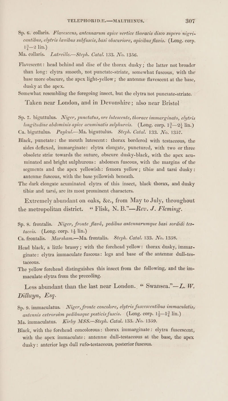 Sp. 6. collaris. Flavescens, antennarum apice vertice thoracis disco supero nigria cantibus, elytris lavibus subfuscis, basi obscuriore, apicibus flavis. (Long. corp. 13—2 lin.) Ma. collaris. Latrezlle—Steph. Catal. 133. No. 1356. Flavescent: head behind and disc of the thorax dusky; the latter not broader than long: elytra smooth, not punctate-striate, somewhat fuscous, with the base more obscure, the apex light-yellow; the antenne flavescent at the base, dusky at the apex. Somewhat resembling the foregoing insect, but the elytra not punctate-striate. Taken near London, and in Devonshire; also near Bristol Sp. 7. biguttulus. Miger, punctatus, ore lutescente, thorace immarginato, elytris longitudine abdominis apice acuminatis sulphureis. (Long. corp. 13—2} lin.) Ca. biguttulus. Paykul—Ma. biguttulus. Steph. Catal. 133. No. 1357. Black, punctate: the mouth lutescent: thorax bordered with testaceous, the sides deflexed, immarginate: elytra elongate, punctured, with two or three obsolete strie towards the suture, obscure dusky-black, with the apex acu- minated and bright sulphurous: abdomen fuscous, with the margins of the segments and the apex yellowish: femora yellow; tibie and tarsi dusky: antenne fuscous, with the base yellowish beneath. The dark elongate acuminated elytra of this insect, black thorax, and dusky tibia and tarsi, are its most prominent characters. Extremely abundant on oaks, &amp;c., from May to July, throughout the metropolitan district. Flisk, N. B..—Rev. J. Fleming. Sp. 8. frontalis. Niger, fronte flava, pedibus antennarumque basi sordidé tes- taceis. (Long. corp. 14 lin.) Ca. frontalis. Marsham.—Ma. frontalis. Steph. Catal. 133. No. 1358. Head black, a little brassy ; with the forehead yellow: thorax dusky, immar- ginate: elytra immaculate fuscous: legs and base of the antenne dull-tes- taceous. The yellow forehead distinguishes this insect from the following, and the im- maculate elytra from the preceding. Less abundant than the last near London., “ Swansea.”—L. W. Dillwyn, Esq. Sp. 9.immaculatus. Niger, fronte concolore, elytris fuscescentibus immaculatis, antennis extrorsim pedibusque posticis fuscis. (Long. corp. 13—1? lin.) Ma. immaculatus. Kirby MSS.—Steph. Catal. 133. Vo. 1359. Black, with the forehead concolorous: thorax immarginate: elytra fuscescent, with the apex immaculate: antenne dull-testaceous at the base, the apex dusky: anterior legs dull rufo-testaceous, posterior fuscous.