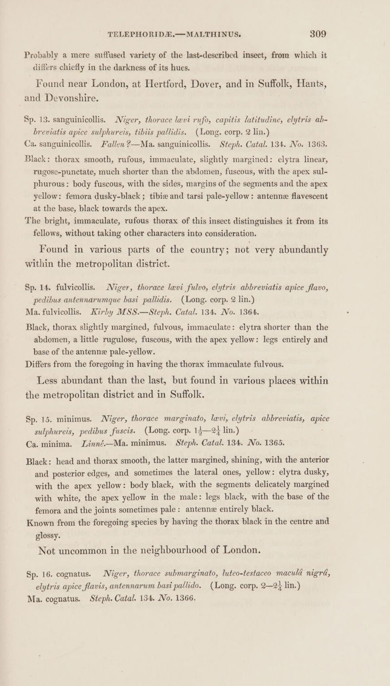 Probably a mere suffused variety of the last-described insect, from which it differs chiefly in the darkness of its hues. Found near London, at Hertford, Dover, and in Suffolk, Hants, | and Devonshire. Sp. 13. sanguinicollis. Niger, thorace levi rufo, capitis latitudine, elytris ab- breviatis apice sulphureis, tibits pallidis. (Long. corp. 2 lin.) Ca. sanguinicollis. Fallen ?—Ma. sanguinicollis. Steph. Catal. 134. No. 1363. Black: thorax smooth, rufous, immaculate, slightly margined: elytra linear, rugose-punctate, much shorter than the abdomen, fuscous, with the apex sul- phurous: body fuscous, with the sides, margins of the segments and the apex yellow: femora dusky-black ; tibie and tarsi pale-yellow: antenne flavescent at the base, black towards the apex. The bright, immaculate, rufous thorax of this insect distinguishes it from its fellows, without taking other characters into consideration. Found in various parts of the country; not very abundantly within the metropolitan district. Sp. 14. fulvicollis. Miger, thorace levi fulvo, elytris abbreviatis apice flavo, pedibus antennarumque basi palldis. (Long. corp. 2 lin.) Ma. fulvicollis. Kirby MSS.—Steph. Catal. 134. No. 1364. Black, thorax slightly margined, fulvous, immaculate: elytra shorter than the abdomen, a little rugulose, fuscous, with the apex yellow: legs entirely and base of the antenne pale-yellow. Differs from the foregoing in having the thorax immaculate fulvous. Less abundant than the last, but found in various places within the metropolitan district and in Suffolk. Sp. 15. minimus. Miger, thorace marginato, levi, elytris abbreviatis, apice sulphureis, pedibus fuscis. (Long. corp. 14—2% lin.) Ca. minima. Linné.—Ma. minimus. Steph. Catal. 134. No. 1365. Black: head and thorax smooth, the latter margined, shining, with the anterior and posterior edges, and sometimes the lateral ones, yellow: elytra dusky, with the apex yellow: body black, with the segments delicately margined with white, the apex yellow in the male: legs black, with the base of the femora and the joints sometimes pale: antenne entirely black. Known from the foregoing species by having the thorax black in the centre and glossy. Not uncommon in the neighbourhood of London. Sp. 16. cognatus. Niger, thorace submarginato, luteo-testaceo maculd nigra, elytris apice flavis, antennarum bast pallido. (Long. corp. 2—24 lin.) Ma. cognatus. Steph. Catal. 134. No. 1366.