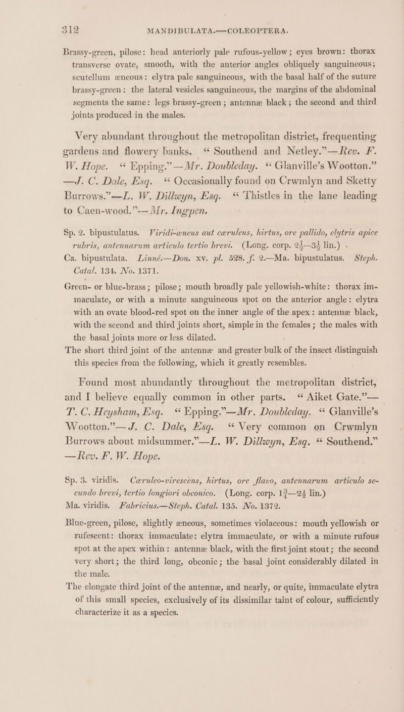 Brassy-green, pilose: head anteriorly pale rufous-yellow; eyes brown: thorax transverse ovate, smooth, with the anterior angles obliquely sanguineous; scutellum «neous: elytra pale sanguineous, with the basal half of the suture brassy-green: the lateral vesicles sanguineous, the margins of the abdominal segments the same: legs brassy-green ; antenne black; the second and third joints produced in the males. Very abundant throughout the metropolitan district, frequenting gardens and flowery banks. ‘ Southend and Netley.”—ev. F. W Hope, Epping.” —Mr. Doubleday. * Glanville’s Wootton.” —J. C. Dale, Esq. * Occasionally found on Crwmlyn and Sketty Burrows.”—L. W. Dillwyn, Esq. ‘ Thistles in the lane leading to Caen-wood.”-— Mr. Ingpen. Sp. 2. bipustulatus. Viridi-eneus aut cwruleus, hirtus, ore pallido, elytris apice rubris, antennarum articulo tertio brevi. (Long. corp. 24—34 lin.) . Ca. bipustulata. Linné.—Don. xv. pl. 528. f. 2.—Ma. bipustulatus. Steph. Catal. 134. No. 1371. Green- or blue-brass ; pilose; mouth broadly pale yellowish-white: thorax im- maculate, or with a minute sanguineous spot on the anterior angle: elytra with an ovate blood-red spot on the inner angle of the apex: antenne black, with the second and third joints short, simple in the females ; the males with the basal joints more or less dilated. The short third joint of the antenne and greater bulk of the insect distinguish this species from the following, which it greatly resembles. | Found most abundantly throughout the metropolitan district, and I believe equally common in other parts. “ Aiket Gate.”— _ T'. C. Heysham, Esq. “ Epping.”°—Mr. Doubleday. “ Glanville’s Wootton.”— J. C. Dale, Esq. ‘“ Very common on Crwmlyn Burrows about midsummer.”—L. W. Dillwyn, Esq. “ Southend.” —heo. F. W. Hope. Sp. 3. viridis. Cwruleo-virescens, hirtus, ore flavo, antennarum articulo se- cundo brevi, tertio longiori obconico. (Long. corp. 17—é lin.) Ma. viridis. Fabricius.—Steph. Catal. 135. No. 1372. Blue-green, pilose, slightly neous, sometimes violaceous: mouth yellowish or rufescent: thorax immaculate: elytra immaculate, or with a minute rufous spot at the apex within: antenne black, with the first joint stout; the second very short; the third long, obconic; the basal joint considerably dilated in the male. The elongate third joint of the antenne, and nearly, or quite, immaculate elytra of this small species, exclusively of its dissimilar taint of colour, sufficiently characterize it as a species.