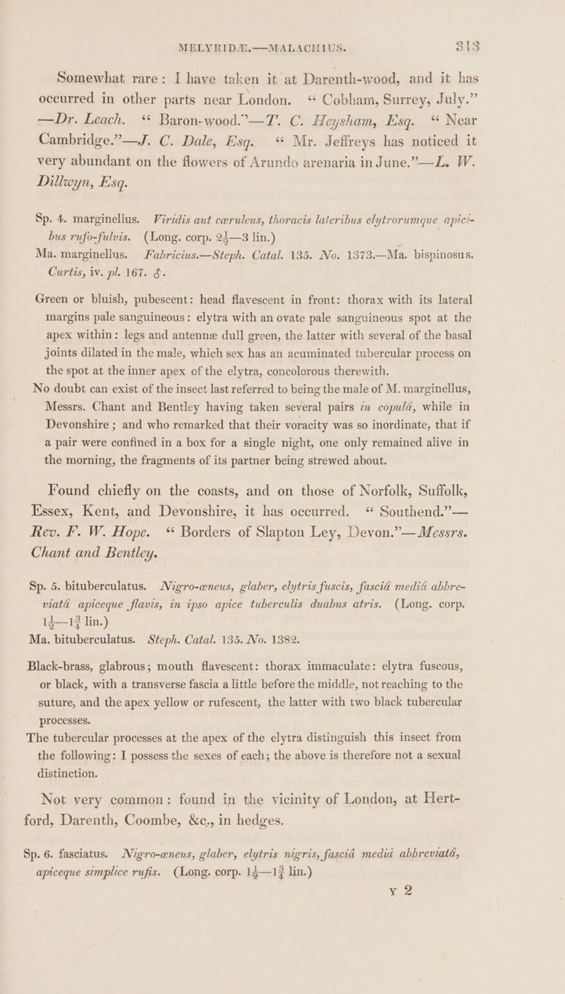 Somewhat rare: I have taken it at Darenth-wood, and it has occurred in other parts near London. «“ Cobham, Surrey, July.” —Dr. Leach. ‘ Baron-wood.°-—T. C. Heysham, Esq. “ Near Cambridge.”—J. C. Dale, Esq. “ Mr. Jefireys has noticed it very abundant on the flowers of Arundo arenaria in June.”—L. W. Dillwyn, Esq. Sp. 4. marginellus. Virddis aut ceruleus, thoracis laterihus elytrorumque apic?= bus rufo-fulvis. (Long. corp. 24—3 lin.) | Ma. marginellus. Fabricius.—Steph. Catal. 135. No. 137 3,—Ma. bispinosus. Curtis, iv. pl. 167. 3. Green or bluish, pubescent: head flavescent in front: thorax with its lateral margins pale sanguineous: elytra with an ovate pale sanguineous spot at the apex within: legs and antenne dull green, the latter with several of the basal joints dilated in the male, which sex has an acuminated tubercular process on the spot at the inner apex of the elytra, concolorous therewith. No doubt can exist of the insect last referred to being the male of M. marginellus, Messrs. Chant and Bentley having taken several pairs zn copuld, while in Devonshire ; and who remarked that their voracity was so inordinate, that if a pair were confined in a box for a single night, one only remained alive in the morning, the fragments of its partner being strewed about. Found chiefly on the coasts, and on those of Norfolk, Suffolk, Essex, Kent, and Devonshire, it has eceurred. “ Southend.”— Rev. F. W. Hope. * Borders of Slapton Ley, Devon.”— Messrs. Chant and Bentley. Sp. 5. bituberculatus. Nigro-eneus, glaber, elytris fuscis, fascia medité abbre- viata apiceque flavis, in ipso apice tuberculis duabus atris. (Long. corp. 13—1 lin.) Ma. bituberculatus. Steph. Catal. 135. No. 1382. Black-brass, glabrous; mouth flavescent: thorax immaculate: elytra fuscous, or black, with a transverse fascia a little before the middle, not reaching to the suture, and the apex yellow or rufescent, the latter with two black tubercular processes. The tubercular processes at the apex of the elytra distinguish this insect from the following: I possess the sexes of each; the above is therefore not a sexual distinction. Not very common: found in the vicinity of London, at Hert- ford, Darenth, Coombe, &amp;c., in hedges. Sp. 6. fasciatus. Nigro-eneus, glaber, elytris nigris, fascia media abbreviata, apiceque simplice rufis. (Long. corp. 14—1? lin.) Y 2