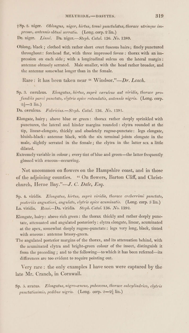 7Sp.2. niger. Oblongus, niger, hirtus, tenue punctulatus, thorace utrinque im- presso, antennis obtusé serratis. (Long. corp. 2 lin.) De. niger. Linné. Da. niger.—Steph. Catal. 136. No. 1389. Oblong, black ; clothed with rather short erect fuscous hairs; finely punctured throughout: forehead flat, with three impressed fovee : thorax with an im- pression on each side; with a longitudinal sulcus on the lateral margin: antenne obtusely serrated. Male smaller, with the head rather broader, and the antenne somewhat lonyer than in the female. Rare: it has been taken near *“* Windsor.”—Dr. Leach. Sp. 3. ceruleus. Elongatus, hirtus, suprd cewruleus aut viridis, thorace pro- fundiis purcé punctato, elytris apice rotundatis, antennis nigris. (Long. corp. 24—3 lin.) ; Da. ceruleus. Fubricius.—Steph. Catal. 136. No. 1391. Elongate, hairy; above blue or green: thorax rather deeply sprinkled with punctures, the lateral and hinder margins rounded: elytra rounded at the tip, linear-elongate, thickly and obsoletely rugose-punctate: legs elongate, bluish-black: antenne black, with the six terminal joints elongate in the male, slightly serrated in the female; the elytra in the latter sex a little dilated. Extremely variable in colour ; every tint of blue and green—the latter frequently glossed with eneous—occurring. Not uncommon on flowers on the Hampshire coast, and in those of the adjoining counties. ‘ On flowers, Barton Cliff, and Christ- church, Herne Bay.”—J. C. Dale, Esq. Sp. 4. viridis. Elongatus, hirtus, supra viridis, thorace creberrimé punctato, posterits angustior2, angulato, elytris apice acuminatis. (Long. corp. 3 lin.) La. viridis. Ross?—Da. viridis. Steph. Catal. 136. No. 1392. Elongate, hairy: above rich green: the thorax thickly and rather deeply punc- tate, attenuated and angulated posteriorly : elytra elongate, linear, acuminated at the apex, somewhat deeply rugose-punctate: legs very long, black, tinted with eneous: antenne brassy-green. The angulated posterior margins of the thorax, and its attenuation behind, with the acuminated elytra and bright-green colour of the insect, distinguish it from the preceding ; and to the following—to which it has been referred—its differences are too evident to require pointing out. Very rare: the only examples I have seen were captured by the late Mr. Cranch, in Cornwall. Sp. 5. eratus. LHlongatus, nigro-aneus, pubescens, thorace subcylindrico, elytris punctatissimis, pedibus nigris. (Long. corp. 2—2; lin.)