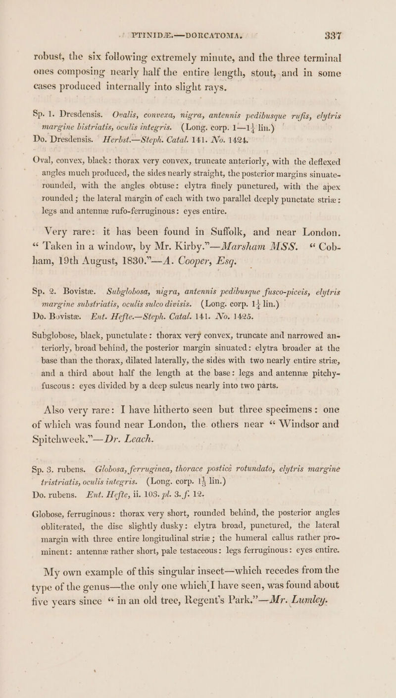 robust, the six following extremely minute, and the three terminal ones composing nearly half the entire length, stout,.and in some cases produced internally into slight rays. Sp. 1. Dresdensis. Ovalis, convera, nigra, antennis pedibusque rufis, elytris margine bistriatis, oculis integris. (Long. corp. 1—1} lin.) | Do. Dresdensis. Herbst.—Steph. Catal. 141. No. 1424.0 Oval, convex, black: thorax very convex, truncate anteriorly, with the deflexed _ angles much produced, the sides nearly straight, the posterior margins sinuate- rounded, with the angles obtuse: elytra finely punctured, with the apex rounded ; the lateral margin of each with two parallel deeply punctate strie : legs and antenne rufo-ferruginous: eyes entire. Very rare: it has been found in Suffolk, and near London. “ Taken in a window, by Mr. Kirby.”—Marsham MSS.“ Cob- ham, 19th August, 1830.—A. Cooper, Esq. Sp. 2. Boviste. Subglobosa, nigra, antennis pedibusque fusco-piceis, elytris margine substriatis, oculis sulco divisis. (Long. corp. 14 lin.) Do. Boviste. Ent. Hefte.—Steph. Catal. 141. No. 1425. Subglobose, black, punctulate: thorax very convex, truncate and narrowed an- teriorly, broad behind, the posterior margin sinuated: elytra broader at the base than the thorax, dilated laterally, the sides with two nearly entire strie, and a third about half the length at the base : legs and antenne pitchy- fuscous: eyes divided by a deep sulcus nearly into two parts. Also very rare: I have hitherto seen but three specimens: one of which was found near London, the. others near ‘“* Windsor and Spitchweek.”—Dr. Leach. Sp. 3. rubens. Globosa, ferruginea, thorace postice rotundato, elytris marginé tristriatis, oculis integris. (Long. corp. 14 lin.) | Do. rubens. Ent. Hefte, ii. 103. pl. 3. f- 12. Globose, ferruginous: thorax very short, rounded behind, the posterior angles obliterated, the disc slightly dusky: elytra broad, punctured, the lateral margin with three entire longitudinal strie ; the humeral callus rather pro- minent: antenne rather short, pale testaceous: legs ferruginous: eyes entire. My own example of this singular insect—which recedes from the type of the genus—the only one which, I have seen, was found about five years since “ in an old tree, Regent’s Park.” —Mr. Lumley.