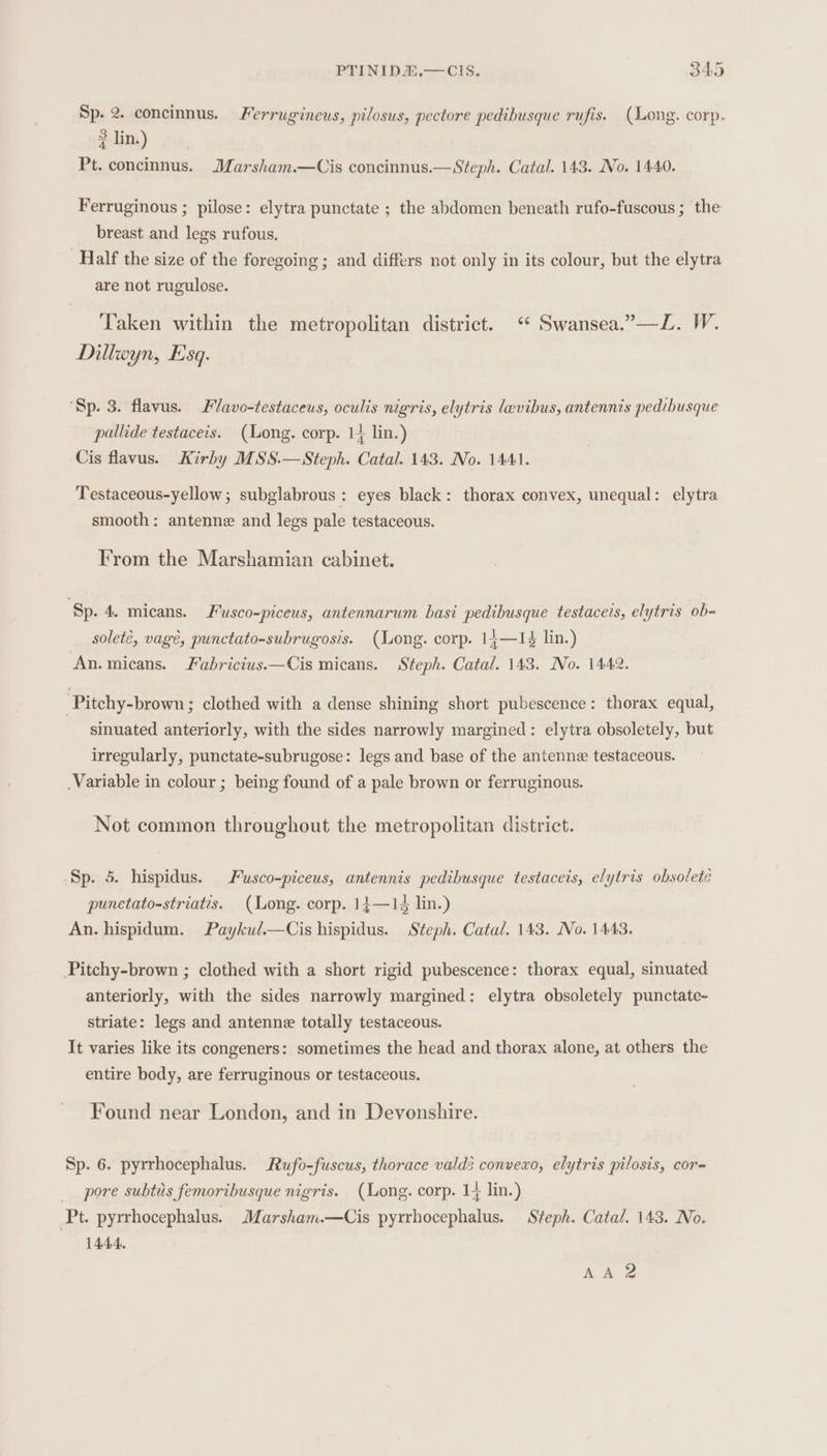 Sp. 2. concinnus. Ferrugineus, pilosus, pectore pedibusque rufis. (Long. corp. 2 lin.) Pt. concinnus. Marsham.—Cis concinnus.—Steph. Catal. 143. No. 1440. Ferruginous ; pilose: elytra punctate ; the abdomen beneath rufo-fuscous ; the breast and legs rufous. Half the size of the foregoing ; and differs not only in its colour, but the elytra are not rugulose. Taken within the metropolitan district. ‘ Swansea.”—L. W. Dillwyn, Esq. ‘Sp. 3. flavus. Flavo-testaceus, oculis nigris, elytris levibus, antennis pedibusque pallide testaceis. (Long. corp. 1} lin.) Cis flavus. Kirby MSS.—Steph. Catal. 143. No. 1441. Testaceous-yellow; subglabrous: eyes black: thorax convex, unequal: elytra smooth: antenne and legs pale testaceous. From the Marshamian cabinet. ‘Sp. 4. micans. Fusco-piceus, antennarum hast pedibusque testaceis, elytris ob= solete, vagé, punctato-subrugosis. (Long. corp. 14,—14 lin.) An. micans. Fabricius.—Cis micans. Steph. Catal. 143. No. 1442. Pitchy-brown ; clothed with a dense shining short pubescence: thorax equal, sinuated anteriorly, with the sides narrowly margined: elytra obsoletely, but irregularly, punctate-subrugose: legs and base of the antenne testaceous. .Variable in colour ; being found of a pale brown or ferruginous. Not common throughout the metropolitan district. Sp. 5. hispidus. Fusco-piceus, antennis pedibusque testaceis, elytris obsoleté punctato-striatis. (Long. corp. 14—14 lin.) An. hispidum. Payku/l.—Cis hispidus. Steph. Catal. 143. No. 1443. Pitchy-brown ; clothed with a short rigid pubescence: thorax equal, sinuated anteriorly, with the sides narrowly margined: elytra obsoletely punctate- striate: legs and antenne totally testaceous. It varies like its congeners: sometimes the head and thorax alone, at others the entire body, are ferruginous or testaceous. Found near London, and in Devonshire. Sp. 6. pyrrhocephalus. Rufo-fuscus, thorace vald2 convexo, elytris pilosis, cor- pore subtis femoribusque nigris. (Long. corp. 1; lin.) ‘Pt. pyrrhocephalus. Marsham.—Cis pyrrhocephalus. Steph. Catal. 143. No. 1444. AA ZS