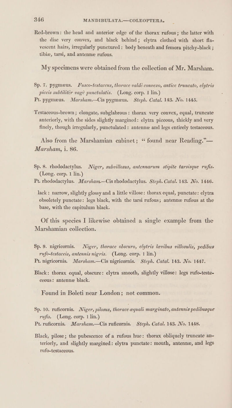 Red-brown: the head and anterior edge of the thorax rufous; the latter with the disc very convex, and black behind; elytra clothed with short fla- vescent hairs, irregularly punctured: body beneath and femora pitchy-black ; tibie, tarsi, and antenne rufous. My specimens were obtained from the collection of Mr. Marsham. Sp. 7. pygmeus. Fusco-testaceus, thorace valdé convexo, antice truncato, elytris prcers subtiliter vage punctulatis. (Long. corp. | lin.) Pt. pygmeus. Marsham.—Cis pygmeus. Steph. Catal. 143. No. 1445. Testaceous-brown ; elongate, subglabrous: thorax very convex, equal, truncate anteriorly, with the sides slightly margined: elytra piceous, thickly and very finely, though irregularly, punctulated: antenne and legs entirely testaceous. Also from the Marshamian cabinet; ‘ found near Reading.”— Marsham, i. 86. Sp. 8. rhododactylus. Niger, subvillosus, antennarum stipite tarsisque rufis. (Long. corp. 1 lin.) Pt. rhododactylus. Marsham.—Cis rhododactylus. Steph. Catal. 143. No. 1446. lack: narrow, slightly glossy and a little villose: thorax equal, punctate: elytra obsoletely punctate: legs black, with the tarsi rufous; antenne rufous at the base, with the capitulum black. Of this species I likewise obtained a single example from the Marshamian collection. Sp. 9. nigricornis. MNger, thorace obscuro, elytris levibus villosulis, pedibus rufo-testaceis, antennis nigris. (Long. corp. 1 lin.) Pt. nigricornis. Marsham.—Cis nigricornis. Steph. Catal. 143. No. 1447. Black: thorax equal, obscure: elytra smooth, slightly villose: legs rufo-testa- ceous: antenne black. Found in Boleti near London; not common. Sp. 10. ruficornis. Miger, pilosus, thorace equali marginato, antennis pedibusque rufis. (ong. corp. 1 lin.) Pt. ruficornis. Marsham.—Cis ruficornis. Steph. Catal. 143. No. 1448. Black, pilose; the pubescence of a rufous hue: thorax obliquely truncate an- teriorly, and slightly margined: elytra punctate: mouth, antenne, and legs rufo-testaceous.