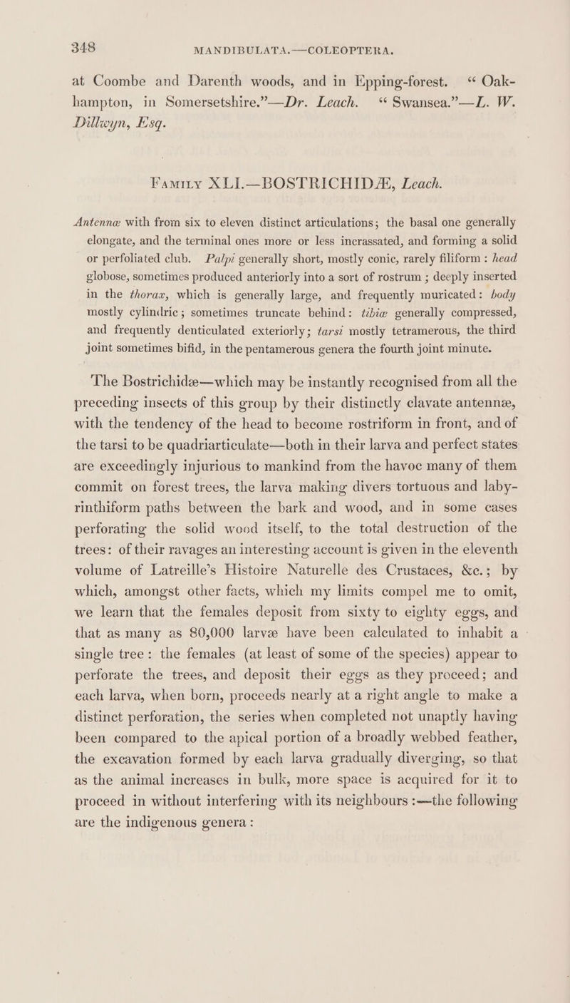 at Coombe and Darenth woods, and in Epping-forest. “ Oak- hampton, in Somersetshire.’—Dr. Leach. ‘ Swansea.”—L. W. Dillwyn, Esq. Famitry XLI.—BOSTRICHID/A, Leach. Antenne with from six to eleven distinct articulations; the basal one generally elongate, and the terminal ones more or less incrassated, and forming a solid or perfoliated club. Palpz generally short, mostly conic, rarely filiform : head globose, sometimes produced anteriorly into a sort of rostrum ; deeply inserted in the thorax, which is generally large, and frequently muricated: body mostly cylindric; sometimes truncate behind: zzbze generally compressed, and frequently denticulated exteriorly; tars? mostly tetramerous, the third joint sometimes bifid, in the pentamerous genera the fourth joint minute. The Bostrichidee—which may be instantly recognised from all the preceding insects of this group by their distinctly clavate antenna, with the tendency of the head to become rostriform in front, and of the tarsi to be quadriarticulate—both in their larva and perfect states are exceedingly injurious to mankind from the havoc many of them commit on forest trees, the larva making divers tortuous and laby- rinthiform paths between the bark and wood, and in some cases perforating the solid wood itself, to the total destruction of the trees: of their ravages an interesting account is given in the eleventh volume of Latreille’s Histoire Naturelle des Crustaces, &amp;c.; by which, amongst other facts, which my limits compel me to omit, we learn that the females deposit from sixty to eighty eggs, and that as many as 80,000 larvee have been calculated to inhabit a - single tree: the females (at least of some of the species) appear to perforate the trees, and deposit their eggs as they proceed; and each larva, when born, proceeds nearly at a right angle to make a distinct perforation, the series when completed not unaptly having been compared to the apical portion of a broadly webbed feather, the excavation formed by each larva gradually diverging, so that as the animal increases in bulk, more space is acquired for it to proceed in without interfering with its neighbours :—the following are the indigenous genera :