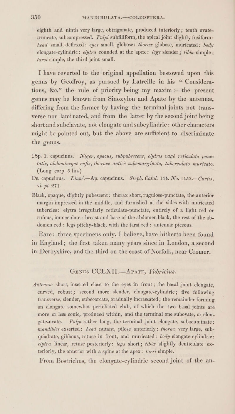 eighth and ninth very large, obtrigonate, produced interiorly ; tenth ovate- truncate, subcompressed. Palpi subfiliform, the apical joint slightly fusiform : head small, deflexed: eyes small, globose: thorax globose, muricated: body elongate-cylindric: elytra rounded at the apex: legs slender ; tibéw simple ; tarsi simple, the third joint small. I have reverted to the original appellation bestowed upon this genus by Geoffroy, as pursued by Latreille in his ‘“ Considera- tions, &amp;c.” the rule of priority being my maxim :—the present genus may be known from Sinoxylon and Apate by the antenne, differing from the former by having the terminal joints not trans- verse nor laminated, and from the latter by the second joint being short and subclavate, not elongate and subcylindric: other characters might be pointed out, but the above are sufficient to discriminate the genus. {Sp. 1. capucinus. Niger, opacus, subpubescens, elytris vagé reticulato punc- tatis, abdomineque rufis, thorace anticé subemarginato, tuberculato muricato. (Long. corp. 5 lin.) De. capucinus. Linné.—Ap. capucinus. Steph. Catal. 144. No. 1453.—Curtis, vi. pl. 271. Black, opaque, slightly pubescent: thorax short, rugulose-punctate, the anterior margin impressed in the middle, and furnished at the sides with muricated tubercles: elytra irregularly reticulate-punctate, entirely of a light red or rufous, immaculate: breast and base of the abdomen black, the rest of the ab- domen red: legs pitchy-black, with the tarsi red: antenne piceous. Rare: three specimens only, I believe, have hitherto been found in England; the first taken many years since in London, a second in Derbyshire, and the third on the coast of Norfolk, near Cromer. Genus CCLXII.—Apare, Fabricius. Antenne short, inserted close to the eyes in front; the basal joint elongate, curved, robust; second more slender, elongate-cylindric; five following transverse, slender, subcoarcate, gradually incrassated ; the remainder forming an elongate somewhat perfoliated club, of which the two basal joints are more or less conic, produced within, and the terminal one subovate, or elon- gate-ovate. Palpi rather long, the terminal joint elongate, subacuminate: mandibles exserted: head nutant, pilose anteriorly: thorax very large, sub- quadrate, gibbous, retuse in front, and muricated: body elongate-cylindric: elytra linear, retuse posteriorly: legs short; tzbie slightly denticulate ex- teriorly, the anterior with a spine at the apex: ¢arsi simple. From Bostrichus, the elongate-cylindric second joint of the an-