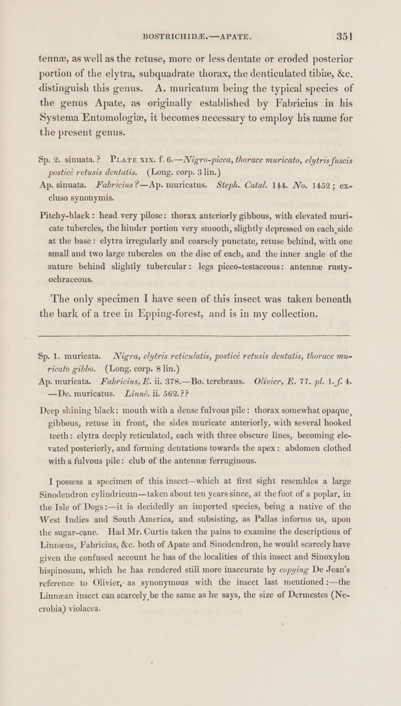 tennee, as well as the retuse, more or less dentate or eroded posterior portion of the elytra, subquadrate thorax, the denticulated tibize, &amp;c. distinguish this genus. A. muricatum being the typical species of the genus Apate, as originally established by Fabricius in his Systema Entomologie, it becomes necessary to employ his name for the present genus. Sp. 2. sinuata.? Pate xrx. f. 6.—Nigro-picea, thorace muricato, elytris fuscis postice retusis dentatis. (Long. corp. 3 lin.) Ap. sinuata. Fabricius ?—Ap. muricatus. Steph. Catal. 144. No. 1452; ex- cluso synonymis. Pitchy-black: head very pilose: thorax anteriorly gibbous, with elevated muri- cate tubercles, the hinder portion very smooth, slightly depressed on each, side at the base: elytra irregularly and coarsely punctate, retuse behind, with one small and two large tubercles on the disc of each, and the inner angle of the suture behind slightly tubercular: legs piceo-testaceous: antenne rusty- ochraceous. The only specimen I have seen of this insect was taken beneath the bark of a tree in Epping-forest, and is in my collection. Sp. 1. muricata. Nigra, elytris reticulatis, posticé retusis dentatis, thorace mu- ricato gibbo. (Long. corp. 8 lin.) Ap. muricata. Fabricius, E. ii. 378.—Bo. terebraus. Olivier, E. 77. pl. 1. f. 4. —De. muricatus. Linné. li. 562. ?? Deep shining black: mouth with a dense fulvous pile: thorax somewhat opaque, gibbous, retuse in front, the sides muricate anteriorly, with several hooked teeth: elytra deeply reticulated, each with three obscure lines, becoming ele- vated posteriorly, and forming dentations towards the apex: abdomen clothed with a fulvous pile: club of the antenne ferruginous. I possess a specimen of this insect—which at first sight resembles a large Sinodendron cylindricum—taken about ten years since, at the foot of a poplar, in the Isle of Dogs:—it is decidedly an imported species, being a native of the West Indies and South America, and subsisting, as Pallas informs us, upon the sugar-cane. Had Mr. Curtis taken the pains to examine the descriptions of Linneus, Fabricius, &amp;c. both of Apate and Sinodendron, he would scarcely have given the confused account he has of the localities of this insect and Sinoxylon bispinosum, which he has rendered still more inaccurate by copying De Jean’s reference to Olivier, as synonymous with the insect last mentioned :—the Linnean insect can scarcely be the same as he says, the size of Dermestes (Ne- crobia) violacea.