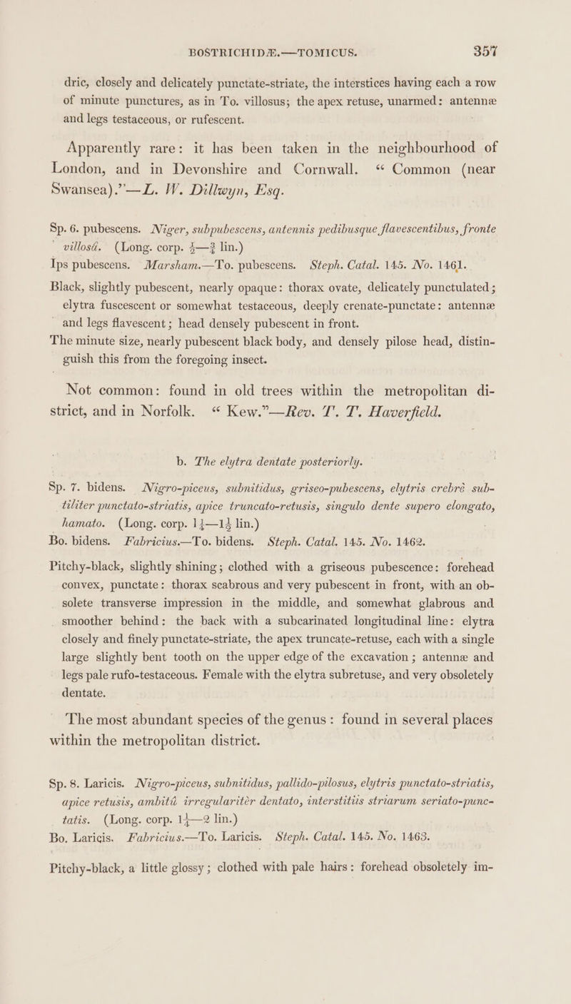 dric, closely and delicately punctate-striate, the interstices having each a row of minute punctures, as in To. villosus; the apex retuse, unarmed: antenne and legs testaceous, or rufescent. Apparently rare: it has been taken in the neighbourhood of London, and in Devonshire and Cornwall. ‘ Common (near Swansea).”—L. W. Dillwyn, Esq. Sp. 6. pubescens. Niger, subpubescens, antennis pedibusque flavescentibus, fronte villosa. (Long. corp. $—? lin.) Ips pubescens. Marsham.—To. pubescens. Steph. Catal. 145. No. 1461. Black, slightly pubescent, nearly opaque: thorax ovate, delicately punctulated ; elytra fuscescent or somewhat testaceous, deeply crenate-punctate: antenne _ and legs flavescent ; head densely pubescent in front. The minute size, nearly pubescent black body, and densely pilose head, distin- guish this from the foregoing insect. Not common: found in old trees within the metropolitan di- strict, and in Norfolk. “ Kew.”—Rev. T'. T. Haverfield. b. The elytra dentate posteriorly. Sp. 7. bidens. Nigro-piceus, subnitidus, griseo-pubescens, elytris crebré sub- tiliter punctato-striatis, apice truncato-retusis, singulo dente supero elongato, hamato. (Long. corp. 14—14 lin.) Bo. bidens. Fabricius—To. bidens. Steph. Catal. 145. No. 1462. Pitchy-black, slightly shining; clothed with a griseous pubescence: forehead convex, punctate: thorax scabrous and very pubescent in front, with an ob- solete transverse impression in the middle, and somewhat glabrous and _ smoother behind: the back with a subcarinated longitudinal line: elytra closely and finely punctate-striate, the apex truncate-retuse, each with a single large slightly bent tooth on the upper edge of the excavation ; antenne and - legs pale rufo-testaceous. Female with the elytra subretuse, and very obsoletely dentate. The most abundant species of the genus: found in several places within the metropolitan district. | Sp. 8. Laricis. Migro-piceus, subnitedus, pallido-pilosus, elytris punctato-striatis, apice retusis, ambité irregulariter dentato, interstitus striarum seriato-punc- tatis. (Long. corp. 14—2 lin.) Bo. Laricis. Fabrictus.—To. Laricis. Steph. Catal. 145. No. 1463. Pitchy-black, a little glossy ; clothed with pale hairs: forehead obsoletely im-