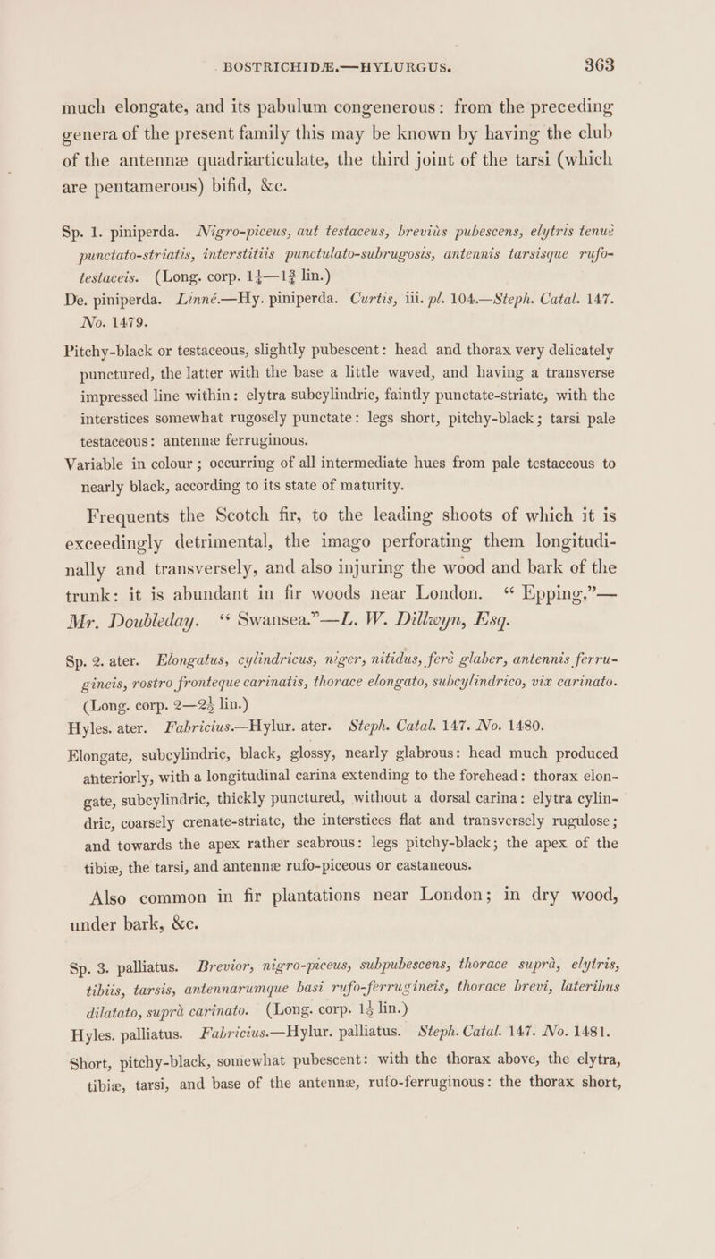 much elongate, and its pabulum congenerous: from the preceding genera of the present family this may be known by having the club of the antenne quadriarticulate, the third joint of the tarsi (which are pentamerous) bifid, &amp;e. Sp. 1. piniperda. Nigro-piceus, aut testaceus, breviis pubescens, elytris tenue punctato-striatis, interstitiis punctulato-subrugosis, antennis tarsisque rufo- testaceis. (Long. corp. 14—1 lin.) De. piniperda. Lnné.—Hy. piniperda. Curtis, iii. pl. 104.—Steph. Catal. 147. No. 1479. Pitchy-black or testaceous, slightly pubescent: head and thorax very delicately punctured, the latter with the base a little waved, and having a transverse impressed line within: elytra subcylindric, faintly punctate-striate, with the interstices somewhat rugosely punctate: legs short, pitchy-black ; tarsi pale testaceous: antenne ferruginous. Variable in colour ; occurring of all intermediate hues from pale testaceous to nearly black, according to its state of maturity. Frequents the Scotch fir, to the leading shoots of which it is exceedingly detrimental, the imago perforating them longitudi- nally and transversely, and also injuring the wood and bark of the trunk: it is abundant in fir woods near London. “ Epping.”— Mr. Doubleday. ‘* Swansea.”—L. W. Dillwyn, Esq. Sp. 2. ater. Elongatus, cylindricus, niger, nitidus, feré glaber, antennis ferru- gineis, rostro fronteque carinatis, thorace elongato, subcylindrico, vie carinato. (Long. corp. 2—2¢ lin.) Hyles. ater. Fabricius.—Hylur. ater. Steph. Catal. 147. No. 1480. Elongate, subcylindric, black, glossy, nearly glabrous: head much produced anteriorly, with a longitudinal carina extending to the forehead: thorax elon- gate, subcylindric, thickly punctured, without a dorsal carina: elytra cylin- dric, coarsely crenate-striate, the interstices flat and transversely rugulose ; and towards the apex rather scabrous: legs pitchy-black; the apex of the tibie, the tarsi, and antenne rufo-piceous or castaneous. Also common in fir plantations near London; in dry wood, under bark, &amp;c. Sp. 3. palliatus. Brevior, nigro-prceus, subpubescens, thorace supra, elytris, tibiis, tarsis, antennarumque basi rufo-ferrugineis, thorace brevi, lateribus dilatato, supra carinato. (Long. corp. 14 lin.) Hyles. palliatus. Fabricius.—Hylur. palliatus. Steph. Catal. 147. No. 1481. Short, pitchy-black, somewhat pubescent: with the thorax above, the elytra, tibie, tarsi, and base of the antenne, rufo-ferruginous: the thorax short,