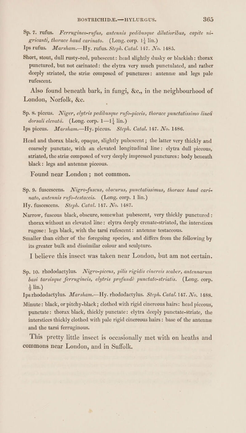 Sp. 7. rufus. Ferrugineo-rufus, antennis pedibusque dilutioribus, capite ni- gricanti, thorace haud carinato. (Long. corp. 14 lin.) Ips rufus. Marsham.—Hy. rufus. Steph. Catal. 147. No. 1485. Short, stout, dull rusty-red, pubescent: head slightly dusky or blackish: thorax punctured, but not carinated: the elytra very much punctulated, and rather deeply striated, the striz composed of punctures: antenne and legs pale rufescent. Also found beneath bark, in fungi, &amp;c., in the neighbourhood of London, Norfolk, &amp;c. Sp. 8. piceus. Niger, elytris pedibusque rufo-piceis, thorace punctatissimo lined dorsali elevatéd. (Long. corp. 1—1} lin.) Ips piceus. Marsham.—Hy. piceus. Steph. Catal. 147. No. 1486. Head and thorax black, opaque, slightly pubescent ; the latter very thickly and coarsely punctate, with an elevated longitudinal line: elytra dull piceous, striated, the strie composed of very deeply impressed punctures: body beneath black: legs and antenne piceous. Found near London; not common. Sp. 9. fuscescens. Nigro-fuscus, obscurus, punctatisstmus, thorace haud cari= nato, antennis rufo-testaceis. (Long. corp. 1 lin.) Hy. fuscescens. Steph. Catal. 147. No. 1487. Narrow, fuscous black, obscure, somewhat pubescent, very thickly punctured : thorax without an elevated line: elytra deeply crenate-striated, the interstices rugose: legs black, with the tarsi rufescent: antenne testaceous. Smaller than either of the foregoing species, and differs from the following by its greater bulk and dissimilar colour and sculpture. I believe this insect was taken near London, but am not certain. Sp. 10. rhododactylus. Mgro-piceus, pilis rigidis cinerevs scaber, antennarum basi tarsisque ferrugineis, elytris profundé punctato-striates. (Long. corp. 4 lin.) Ipsrhododactylus. Marsham.—Hy. rhododactylus. Steph. Catal. 147. No. 1488, Minute: black, or pitchy-black; clothed with rigid cinereous hairs: head piceous, punctate: thorax black, thickly punctate: elytra deeply punctate-striate, the interstices thickly clothed with pale rigid cinereous hairs: base of the antenne and the tarsi ferruginous. This pretty little insect is occasionally met with on heaths and commons near London, and in Suffolk.