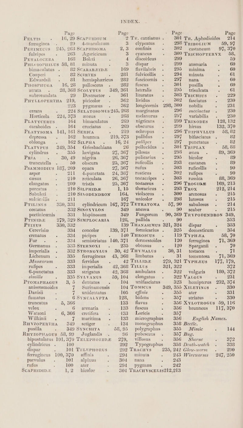 Page Page Page Page PELTIS 16, 29 ScapHipiuM 2 Te. cantianus . 301 Tr. Aphodioides 214 ferruginea 29 4-maculatum 3 clypeatus 298 TripoLiIuM 59, 97 Perimecus 245, 263 ScapHISOMA 2,3 confinis 302 ~~ castaneum 97, 370 fulvipes 263 Agaricicum 3 cyaneus . 300 TricHoPTERYx 58, PETALOCERA 168 ~~ Boleti 4 discoideus 299 59 PHioropnuiius 58, 81 minuta 3. dispar 299 atomaria 60 bimaculatus 82 SCARABZIDA 169 — flavilabris 295 minima { 60 Cooperi : 82 ScIRTES 281 — fulvicollis 294 =minuta é 61 Edwardsii 81 hemisphericus 282 fuscicornis 297 nana : 60 PHOSPHUGA 16, 28 pallescens 282 ~— fuscus 301 pusilla 60 atrata 28, 368 ScoLyrus 349, 361 _ lateralis 295 trisulcata 61 subrotundata 29 Destructor 361 lituratus 303 TRricHius : 229 PHYLLOPERTHA 219, _ picicolor 362 lividus : 302 fasciatus s 230 223 pygmeus 362 longicornis 298, 300 nobilis . 231 errans i 224 SELATOSOMUs 245, 268 marginatus 296 — succinctus 230 Horticola 224,373 eneus 268 melanurus 297 _ variabilis 230 PLATYCERUS 164 bimaculatus 269 nigricans 299 TRINODES 128, 132 caraboides 164 — cruciatus 269 obscurus 29 hirtus 132, 370 Piatysoma 14], 161 Serica 219 ochropus 296 TripHYLuius 58, 82 depressa ‘ 162 brunnea 219, 373 pallidus 297 bifasciatus . 82 oblonga 162 SinpHA 16,24 pallipes ‘ 297 punctatus 82 Pratypus 349,354 Griesbachiana 26 pellucidus . 301 TripLax 58, 88 cylindrus . 355 laevigata 27, 367 _ pilosus : 298 enea . &amp;9, 369 PRIA 30, 49 _ nigrita 26, 367 pulicarius. 295 bicolor 8&amp;9 truncatella 50 obscura 25, 367 ‘ruficollis ) . 293 castanea : 89 Psammoptius 187, 209 opaca 27, 367 = rufus 2 303 ruficollis 90 asper 211 4-punctata 24,367 rusticus ° 302 rufipes : 90 ceesus 210 reticulata 26, 367 testaceipes . 303 russica 88, 369 elongatus 209 tristis 25, 367 + testaceus . 296 TroGipz 169, 213 porcatus 210 SILPHID&amp; 1,15 thoracicus . 293 Trox 212, 214 Sabuleti 210 SINODENDRON 164, violaceus. 300. arenosus : 215 sulcicollis 211 167 —unicolor . 298 — lutosus : 215 Prininus 330, 331 _ cylindricum 167,372 TETRaATOMA 57,90 sabulosus . 214 costatus 302 SINOXYLON 349 ancora ‘ 90 scaber : 215 pectinicornis 331 bispinosum 349 Fungorum 90, 369 TRyYPODENDRON 349, PriIniDz 279, 329 SIMPLOCARIA 128, pallida ; 90 353 PTInus 330, 332 139 THanastMus 321, 324 dispar . 353 Cerevisiz 334 concolor 139, 371 formicarius . 325 domesticum 304 crenatus . 334 _ picipes 140 TurRoscus 119 TypHza 58, 70 Fur... 3 334 semistriatus 140,371 dermestoides 120 ferruginea 71, 369 Germanus 333 STERNOXI 235 obtusus : 120 Sparganii . 70 imperialis . 332STRoneytus 30, 42 THyma.us 30, 31 testacea ‘ 71 Lichenum . 335 ferrugineus 43, 368 _ limbatus 5 31 tomentosa 71, 369 Musceorum 333 _ fervidus : 42 TILLipz 279, 321 TypHamus 177, 179, rufipes 333 imperialis 42, 368 TILLUs 321, 322 372 6-punctatus 333 strigatus 42, 368 ambulans 322 vulgaris 180, 372 similis 335 SYLVANUS 59, 104 _ elongatus 322 VaLaus . 231 PromapHacus 3,5 dentatus . 104 ~—_unifasciatus 323 hemipterus 232, 374 anisotomoides 7 Surinamensis 104 Tomicus 349, 355 XILETINUS . 330 Davisii . 7 wnidentatus 105 = affinis . 355 ater : 331 fumatus 6 SYNCALYPTA 128, _ bidens ‘ 357 striatus é 330 truncatus 5, 366 133 flavus : 356 XYLoTROGUS 59, 116 velox : 6 arenaria 133 fuscus . 356 brunneus’ 117, 370 Watsoni 6, 366 cretifera 133 Laricis - 357 Wilkinii 7 Maritima 133 micrographus 396 English Names. RuwYZoPERTHA 349 _ setiger 134 monographus 358 Beetle. pusilla . 349 SYNCHITA 58,95 polygraphus 355 Mimic 144 RuyzoPpuacus 58,99 Juglandis 96 pubescens . 357 Bug. bipustulatus 101,370 TELEPHORIDm 279, villosus 356 Shorne 372 cylindricus 100 292 Typographus 358 Death-watch 338 dispar 101 TeLePpHorus 292 Tracuys 235, 242 Glow-worm 290 ferrugincus 100,370 affinis 294 minuta 243 Wireworms 247, 250 parvulus 101 ~— alpinus 304 nana : 243 rufus 100 ater 294 pygmea 242 ScAPHIDID” 1,2 bicolor 304 TRACHYSCELIS212,213
