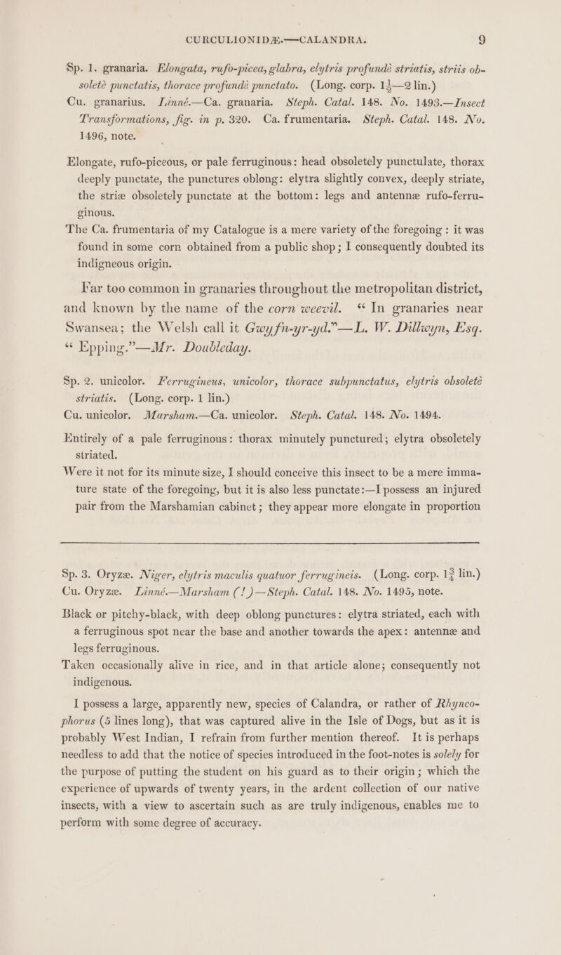 Sp. 1. granaria. Hlongata, rufo-picea, glabra, elytris profundé striatis, striis ob- soleté punctatis, thorace profundé punctato. (Long. corp. 13—2 lin.) Cu. granarius. Jnné.—Ca. granaria. Steph. Catal. 148. No. 1493.—JInsect Transformations, fig. in p. 320. Ca. frumentaria. Steph. Catal. 148. No. 1496, note. Elongate, rufo-piceous, or pale ferruginous: head obsoletely punctulate, thorax deeply punctate, the punctures oblong: elytra slightly convex, deeply striate, the strize obsoletely punctate at the bottom: legs and antenne rufo-ferru- ginous. The Ca. frumentaria of my Catalogue is a mere variety of the foregoing : it was found in some corn obtained from a public shop; I consequently doubted its indigneous origin. Far too common in granaries throughout the metropolitan district, and known by the name of the corn weevil. ‘ In granaries near Swansea; the Welsh call it Gwy fn-yr-yd.”—L. W. Dillwyn, Esq. “© Kpping.”—Mr. Doudleday. Sp. 2. unicolor. Lerrugineus, unicolor, thorace subpunctatus, elytris obsolete striatis. (Long. corp. 1 lin.) Cu. unicolor. Marsham.—Ca. unicolor. Steph. Catal. 148. No. 1494. Entirely of a pale ferruginous : thorax minutely punctured; elytra obsoletely striated. Were it not for its minute size, I should conceive this insect to be a mere imma- ture state of the foregoing, but it is also less punctate:—I possess an injured pair from the Marshamian cabinet ; they appear more elongate in proportion Sp. 3. Oryze. Niger, elytris maculis quatuor ferrugineis. (Long. corp. 12 lin.) Cu. Oryze. Linné.—Marsham (!)—Steph. Catal. 148. No. 1495, note. Black or pitchy-black, with deep oblong punctures: elytra striated, each with a ferruginous spot near the base and another towards the apex: antenne and legs ferruginous. Taken occasionally alive in rice, and in that article alone; consequently not indigenous. I possess a large, apparently new, species of Calandra, or rather of Rhynco- phorus (5 lines long), that was captured alive in the Isle of Dogs, but as it is probably West Indian, I refrain from further mention thereof. It is perhaps needless to add that the notice of species introduced in the foot-notes is solely for the purpose of putting the student on his guard as to their origin; which the experience of upwards of twenty years, in the ardent collection of our native insects, with a view to ascertain such as are truly indigenous, enables me to perform with some degree of accuracy.