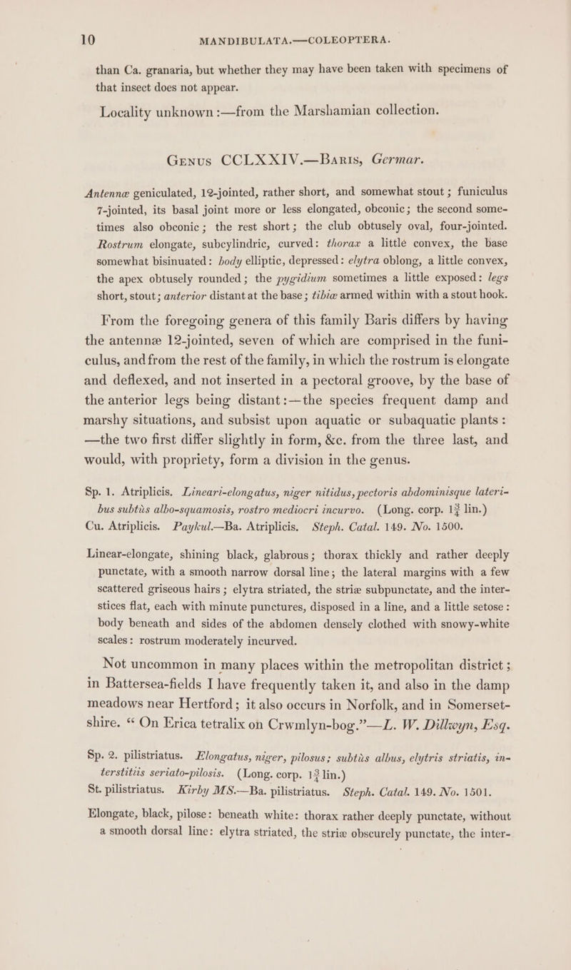 than Ca. granaria, but whether they may have been taken with specimens of that insect does not appear. Locality unknown :—from the Marshamian collection. Genus CCLXXIV.—Baris, Germar. Antenne geniculated, 12-jointed, rather short, and somewhat stout ; funiculus 7-jointed, its basal joint more or less elongated, obconic; the second some- times also obconic; the rest short; the club obtusely oval, four-jointed. Rostrum elongate, subcylindric, curved: thorax a little convex, the base somewhat bisinuated: body elliptic, depressed: elytra oblong, a little convex, the apex obtusely rounded ; the pygidzuwm sometimes a little exposed: legs short, stout; anterior distant at the base ; ¢ébe@ armed within with a stout hook. From the foregoing genera of this family Baris differs by having the antenne 12-jointed, seven of which are comprised in the funi- culus, and from the rest of the family, in which the rostrum is elongate and deflexed, and not inserted in a pectoral groove, by the base of the anterior legs being distant:—the species frequent damp and marshy situations, and subsist upon aquatic or subaquatic plants : —the two first differ slightly in form, &amp;c. from the three last, and would, with propriety, form a division in the genus. Sp. 1. Atriplicis. Lineari-elongatus, niger nitidus, pectoris abdominisque lateri- bus subtis albo-squamosis, rostro mediocri incurvo. (Long. corp. 17 lin.) Cu. Atriplicis. Paykul—Ba. Atriplicis, Steph. Catal. 149. No. 1500. Linear-elongate, shining black, glabrous; thorax thickly and rather deeply punctate, with a smooth narrow dorsal line; the lateral margins with a few scattered griseous hairs ; elytra striated, the stria subpunctate, and the inter- stices flat, each with minute punctures, disposed in a line, and a little setose : body beneath and sides of the abdomen densely clothed with snowy-white scales: rostrum moderately incurved. Not uncommon in many places within the metropolitan district ; in Battersea-fields I have frequently taken it, and also in the damp meadows near Hertford; it also occurs in Norfolk, and in Somerset- shire. “ On Erica tetralix on Crwmlyn-bog.”—L. W. Dillwyn, Esq. Sp. 2. pilistriatus. Klongatus, niger, pilosus; subtis albus, elytris striatis, in terstitiis seriato-pilosis. (Long. corp. 13 lin.) St. pilistriatus. Kirby MS.-—Ba. pilistriatus. Steph. Catal. 149. No. 1501. Elongate, black, pilose: beneath white: thorax rather deeply punctate, without a smooth dorsal line: elytra striated, the strie obscurely punctate, the inter-