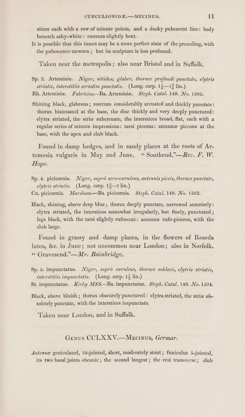 stices each with a row of minute points, and a dusky pubescent line: body beneath ashy-white : rostrum slightly bent. It is possible that this insect may be a more perfect state of the preceding, with the pubescence unworn ; but its sculpture is less profound. Taken near the metropolis; also near Bristol and in Suffolk. Sp. 3. Artemisie. Miger, nitidus, glaber, thorace profnudé punctato, elytris striatis, interstitiis seriatim punctatis. (Long. corp. 14—1? lin.) Rh. Artemisia. Fabrictus—Ba. Artemisie. Steph. Catal. 149. No. 1502. Shining black, glabrous; rostrum considerably arcuated and thickly punctate: thorax bisinuated at the base, the disc thickly and very deeply punctured: elytra striated, the strie subcrenate, the interstices broad, flat, each with a regular series of minute impressions: tarsi piceous: antenne piceous at the base, with the apex and club black. Found in damp hedges, and in sandy places at the roots of Ar- temesia vulgaris in May and June. ‘ Southend..—Rev. F. W. Hope: Sp. 4. picicornis. Niger, supra airo-ceruleus, antennis piceis, thorace punctato, elytris striatis. (Long. corp. 12—2 lin.) Cu. picicornis. Marsham.—Ba. picicornis. Steph. Catal. 149. No. 1503. Black, shining, above deep blue; thorax deeply punctate, narrowed anteriorly : elytra striated, the interstices somewhat irregularly, but finely, punctured ; legs black, with the tarsi slightly rufescent: antenne rufo-piceous, with the club large. Found in grassy and damp places, in the flowers of Reseda lutea, &amp;c. in June; not uncommon near London; also in Norfolk. ‘¢ Gravesend.”—Mr. Bainbridge. Sp. 5. impunctatus. Miger, supra ceruleus, thorace sublevi, elytris striatis, interstitiis impunctatis. (Long. corp. 14 lin.) St. impunctatus. Avriby MSS.—Ba.impunctatus. Steph. Catal. 149. No. 1504. Black, above bluish ; thorax obscurely punctured : elytra striated, the strie ob- soletely punctate, with the interstices impunctate. Taken near London, and in Suffolk. Genus CCLXXV.—Mecinus, Germar. Antenne geniculated, 10-jointed, short, moderately stout ; funiculus 5-jointed, its two basal joints obconic; the second longest ; the rest transverse; club
