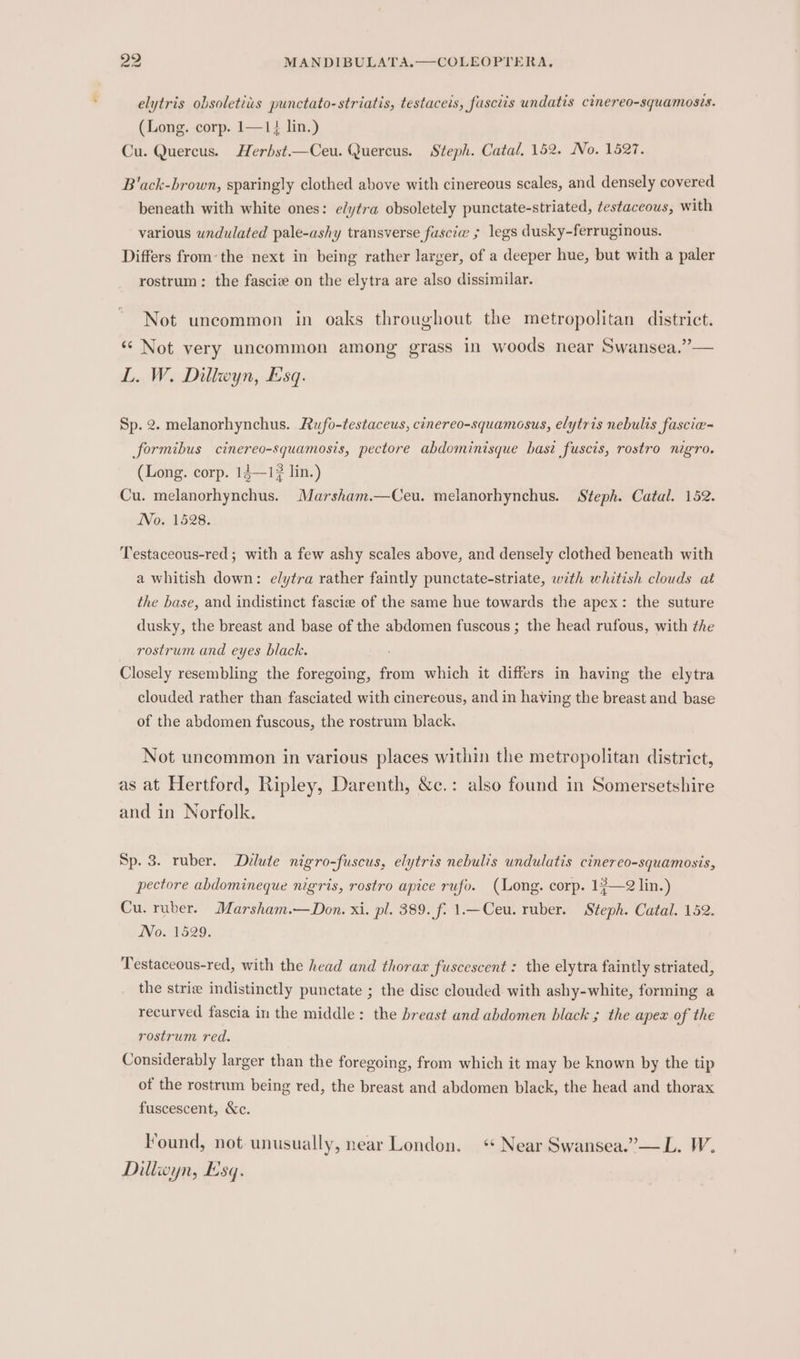 elytris obsoletiis punctato-striatis, testaceis, fusctis undatis cinereo-squamosis. (Long. corp. 1—14 lin.) Cu. Quercus. Herhst.—Ceu. Quercus. Steph. Catal, 152. No. 1527. B'ack-brown, sparingly clothed above with cinereous scales, and densely covered beneath with white ones: elytra obsoletely punctate-striated, testaceous, with various undulated pale-ashy transverse fasciw ; legs dusky-ferruginous. Differs from: the next in being rather larger, of a deeper hue, but with a paler rostrum: the fascie on the elytra are also dissimilar. Not uncommon in oaks throughout the metropolitan district. ‘¢ Not very uncommon among grass in woods near Swansea,”— L. W, Dillwyn, Esq. Sp. 2. melanorhynchus. Rufo-testaceus, cinereo-squamosus, elytris nebulis fascie- formibus cinereo-squamosis, pectore abdominisque hast fuscis, rostro nigro. (Long. corp. 14—1? lin.) Cu. melanorhynchus. Marsham.—Ceu. melanorhynchus. Steph. Catal. 152. No. 1528. Testaceous-red ; with a few ashy scales above, and densely clothed beneath with a whitish down: elytra rather faintly punctate-striate, with whitish clouds at the base, and indistinct fascie of the same hue towards the apex: the suture dusky, the breast and base of the abdomen fuscous ; the head rufous, with the rostrum and eyes black. Closely resembling the foregoing, from which it differs in having the elytra clouded rather than fasciated with cinereous, and in having the breast and base of the abdomen fuscous, the rostrum black. Not uncommon in various places within the metropolitan district, as at Hertford, Ripley, Darenth, &amp;c.: also found in Somersetshire and in Norfolk. Sp. 3. ruber, Delute nigro-fuscus, elytris nebulis undulatis cinereo-squamosis, pectore abdomineque nigris, rostro apice rufo. (Long. corp. 1¢—2 lin.) Cu. ruber. Marsham.—Don. xi. pl. 389. f. 1.—Ceu. ruber. Steph. Catal. 152. No. 1529. Testaceous-red, with the head and thorax fuscescent : the elytra faintly striated, the strie indistinctly punctate ; the disc clouded with ashy-white, forming a recurved fascia in the middle: the breast and abdomen black ; the apex of the rostrum red. Considerably larger than the foregoing, from which it may be known by the tip of the rostrum being red, the breast and abdomen black, the head and thorax fuscescent, &amp;c. Found, not unusually, near London. « Near Swansea.” — L. W. Dillwyn, Esq.