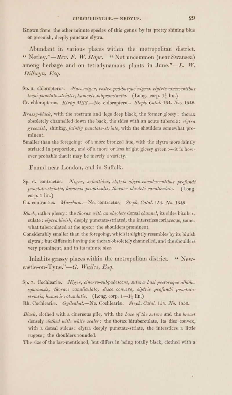 Known from the other minute species of this genus by its pretty shining blue or greenish, deeply punctate elytra. Abundant in various places within the metropolitan district. *“ Netley.”— Rev. F. W. Hope. “ Not uncommon (near Swansea) among herbage and on tetradynamous plants in June.”—L. W. Dillwyn, Esq. Sp. 5. chloropterus. Aineo-niger, rostro pedibusque nigris, elytris virescentibus tenue punctato-striatis, humeris subprominulis. (Long. corp. 1+ lin.) Cr. chloropterus. Kirby MSS.—Ne. chloropterus. Steph. Catal. 154. No. 1548. Brassy-black, with the rostrum and legs deep black, the former glossy: thorax obsoletely channelled down the back, the sides with an acute tubercle: e/ytra greenish, shining, faintly punctate-striate, with the shoulders somewhat pro- minent. Smaller than the foregoing: ofa more bronzed hue, with the elytra more faintly striated in proportion, and of a more or less bright glossy green:—it is how- ever probable that it may be merely a variety. Found near London, and in Suffolk. Sp. 6. contractus. Niger, subnitidus, elytris nigro-cerulescentihus profundé punctato-striatis, humeris prominulis, thorace obsolete canaliculato. (Long. corp. 1 lin.) Cu. contractus. Marsham.—Ne. contractus. Steph. Catal. 154. No. 1549. Black, rather glossy: the thorax with an obsolete dorsal channel, its sides bituber- culate: elytra bluish, deeply punctate-striated, the interstices coriaceous, some- what tuberculated at the apex: the shoulders prominent. Considerably smaller than the foregoing, which it slightly resembles by its bluish elytra ; but differs in having the thorax obsoletely channelled, and the shoulders very prominent, and in its minute size. Inhabits grassy places within the metropolitan district. ‘ New- castle-on-Tyne.”—G. Wailes, Iusq. Sp. 7. Cochlearie. Niger, cinereo-subpubescens, suture basi pectoreque albido~ squamosis, thorace canaliculato, disco convexo, elytris profundé punctato- striatis, humeris rotundatis. (Long. corp. 1—1; lin.) Rh. Cochlearie. Gyllenhal.—Ne. Cochlearie. Steph. Catal. 154. No. 1550. Black, clothed with a cinereous pile, with the base of the suture and the breast densely clothed with white scales: the thorax bituberculate, its disc convex, with a dorsal sulcus: elytra deeply punctate-striate, the interstices a little rugose ; the shoulders rounded, The size of the last-mentioned, but differs in being totally black, clothed with a