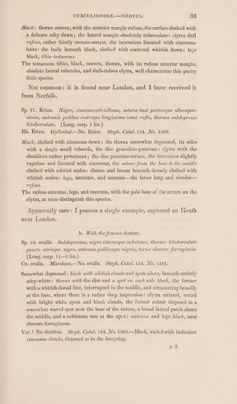 Black: thorax convex, with the anterior margin rufous, the surface clothed with a delicate ashy down; the lateral margin obsoletely tuberculate: elytra dull rufous, rather faintly crenate-striate, the interstices lineated with cinereous hairs: the body beneath black, clothed with scattered whitish down: legs black, tzbie testaceous. The testaceous tibie, black, convex, thorax, with its rufous anterior margin, obsolete lateral tubercles, and dull-rufous elytra, well characterize this pretty little species. Not common: it is found near London, and I have received it from Norfolk. Sp. 17. Erice. Niger, cinerascenti-villosus, suture basi pectoreque albo-squa- mosis, antennis pedibus rostroque longissimo tenué rufis, thorace subdepresso bituberculato. (Long. corp. 1 lin.) Rh. Erice. GyllenhaliNe. Erice. Steph. Catal. 154. No. 1560. Black, clothed with cinereous down: the thorax somewhat depressed, its sides with a single small tubercle, the disc granulate-punctate: elytra with the shoulders rather prominent; the disc punctate-striate, the interstices slightly rugulose and lineated with cinereous, the suture from the base to the middle clothed with whitish scales: thorax and breast beneath densely clothed with whitish scales: legs, antenne, and rostrum—the latter long and slender— rufous. The rufous antenne, legs, and rostrum, with the pale base of the suture on the elytra, at once distinguish this species. Apparently rare: I possess a single example, captured on Heath near London. b. With the femora dentate. Sp. 18. ovalis. Subdepressus, nigro cinereoque nebulosus, thorace bituberculato puncto utrinque nigro, antennis pedibusque nigris, tarsis obscure ferruginets. (Long. corp. 13—2 lin.) Cu. ovalis. Marsham.—Ne. ovalis. Steph. Catal. 154. No. 1561. Somewhat depressed: black with whitish clouds and spots above, beneath entirely ashy-white: thorax with the disc and a spot on each side black, the former with a whitish dorsal line, interrupted in the middle, and terminating broadly at the base, where there is a rather deep impression: elytra striated, varied with bright white spots and black clouds, the former colour disposed in a somewhat waved spot near the base of the suture, a broad lateral patch about the middle, and a sublunate one at the apex: antenna and legs black, tarsi obscure ferruginous. Var.? Ne.detritus. Steph. Catal. 154. No. 1562.—Black, varied with indistinct cinereous clouds, disposed as in the foregoing. pd 2