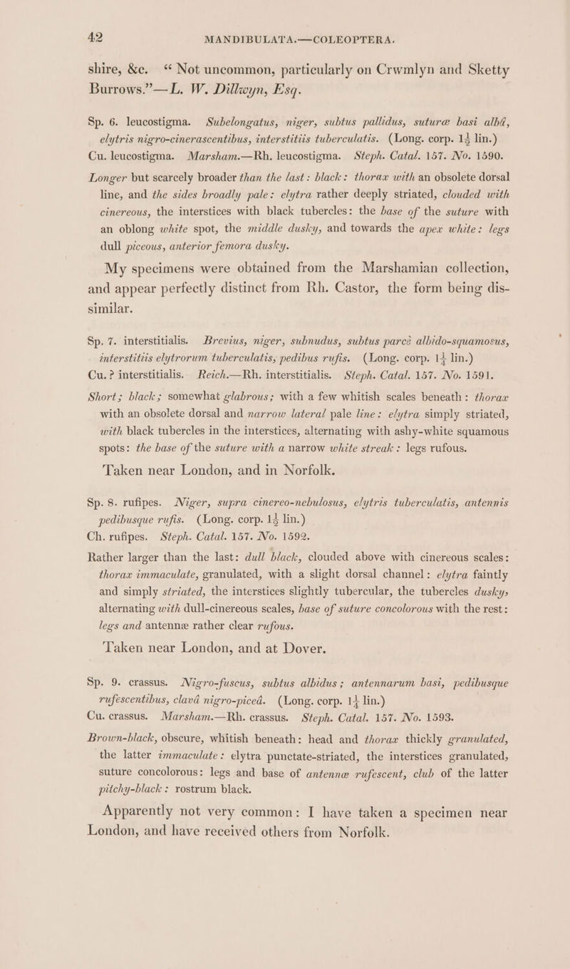 shire, &amp;c. “ Not uncommon, particularly on Crwmlyn and Sketty Burrows.”—L. W. Dillwyn, Esq. Sp. 6. leucostigma. Subelongatus, niger, subtus pallidus, suture basi alba, elytris nigro-cinerascentibus, interstitiis tuberculatis. (Long. corp. 14 lin.) Cu. leucostigma. Marsham.—Rh. leucostigma. Steph. Catal. 157. No. 1590. Longer but scarcely broader than the last: black: thorax with an obsolete dorsal line, and the sides broadly pale: elytra rather deeply striated, clouded with cinereous, the interstices with black tubercles: the base of the suture with an oblong white spot, the middle dusky, and towards the apex white: legs dull piceous, anterior femora dusky. My specimens were obtained from the Marshamian collection, and appear perfectly distinct from Rh. Castor, the form being dis- similar. Sp. 7. interstitialis. Brevius, niger, subnudus, subtus parce albido-squamosus, wnterstites elytrorum tuberculatis, pedibus rufis. (Long. corp. 14 lin.) Cu. ? interstitialis.. Reich.—Rh. interstitialis. Steph. Catal. 157. No. 1591. Short; black; somewhat glabrous; with a few whitish scales beneath: thorax with an obsolete dorsal and narrow lateral pale line: elytra simply striated, with black tubercles in the interstices, alternating with ashy-white squamous spots: the base of the suture with a narrow white streak: legs rufous. Taken near London, and in Norfolk. Sp. 8. rufipes. Miger, supra cinereo-nebulosus, elytris tuberculatis, antennis pedibusque rufis. (Long. corp. 14 lin.) Ch. rufipes. Steph. Catal. 157. No. 1592. Rather larger than the last: dull black, clouded above with cinereous scales: thorax immaculate, granulated, with a slight dorsal channel: elytra faintly and simply striated, the interstices slightly tubercular, the tubercles dusky, alternating w7th dull-cinereous scales, base of suture concolorous with the rest : legs and antenne rather clear rufous. ‘Taken near London, and at Dover. Sp. 9. crassus. Nigro-fuscus, subtus albidus; antennarum basi, pedibusque rufescentibus, clavad nigro-piced. (Long. corp. 1 lin.) Cu. crassus. Marsham.—Rh. crassus. Steph. Catal. 157. No. 1593. Brown-black, obscure, whitish beneath: head and thorax thickly granulated, the latter ¢mmaculate: elytra punctate-striated, the interstices granulated, suture concolorous: legs and base of antenna rufescent, club of the latter pitchy-black : rostrum black. Apparently not very common: I have taken a specimen near London, and have received others from Norfolk.
